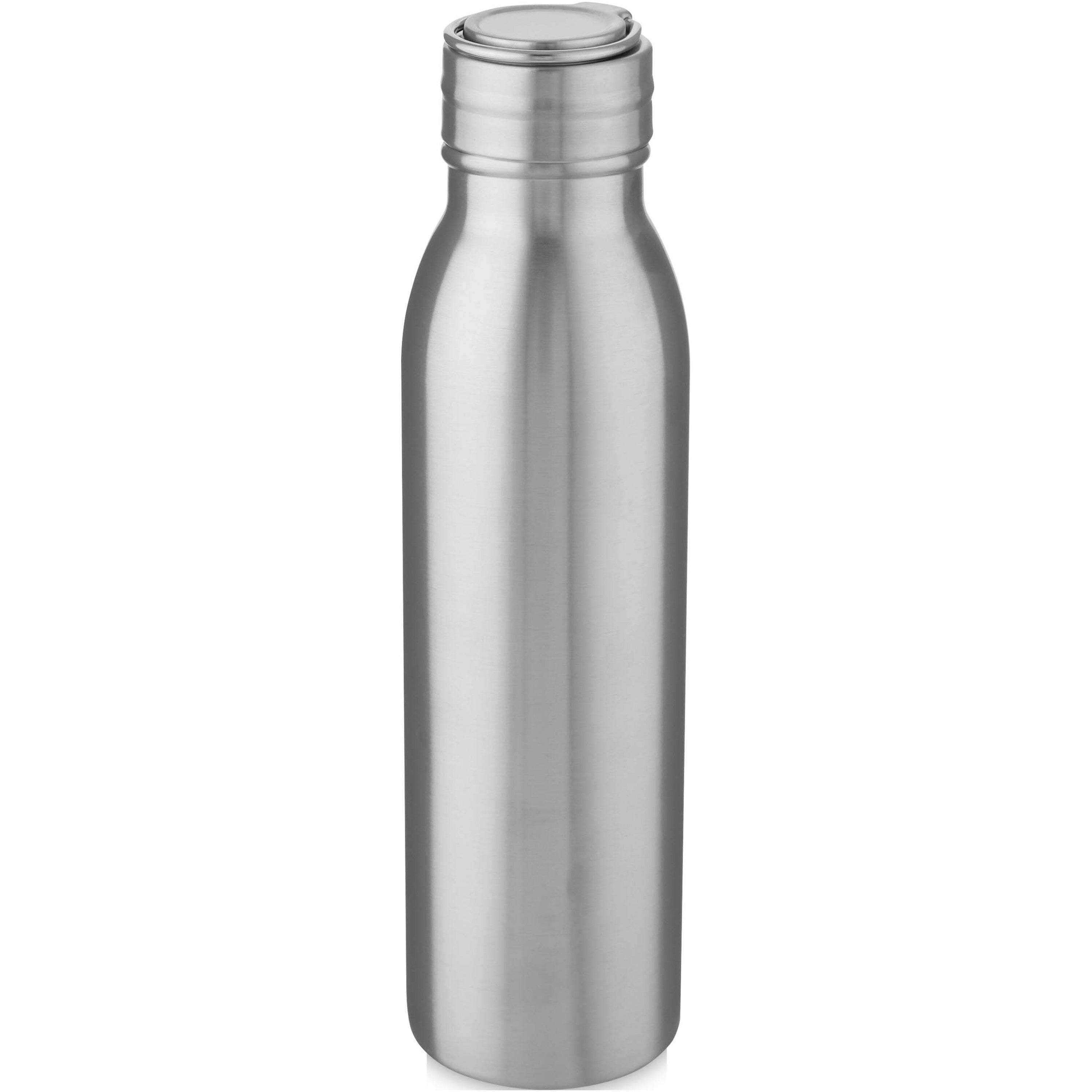 Harper Recycled Stainless Steel Water Bottle with Loop