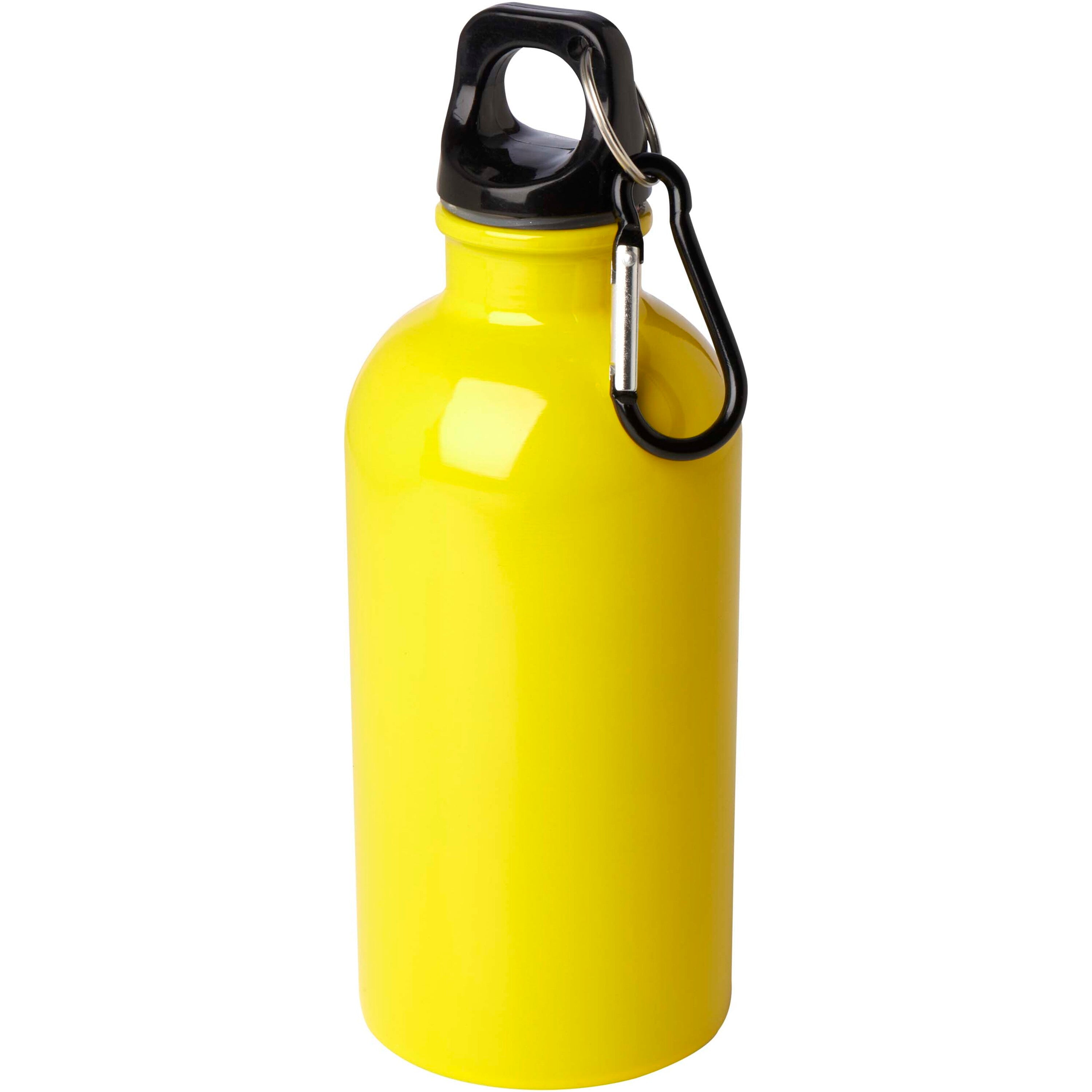 Upcycled Stainless Steel Water Bottle with Carabiner