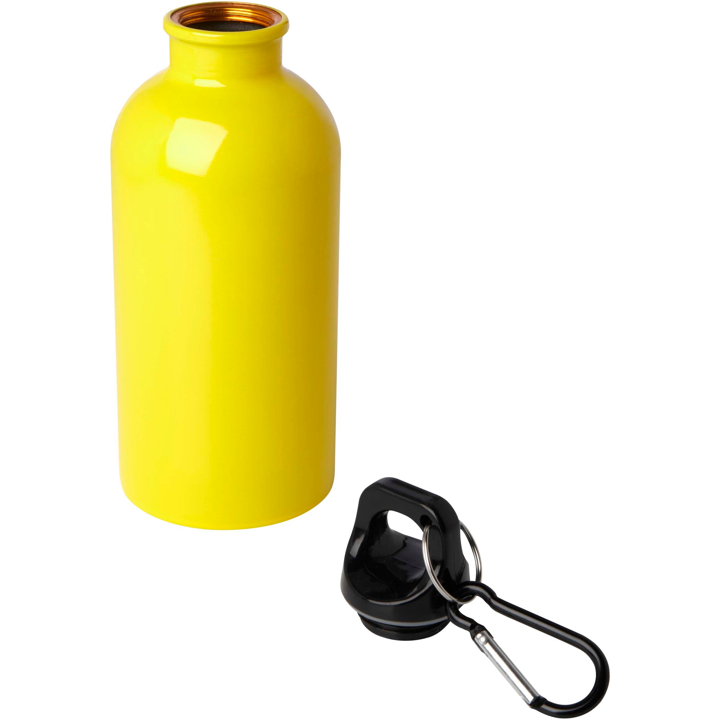 Upcycled Stainless Steel Water Bottle with Carabiner