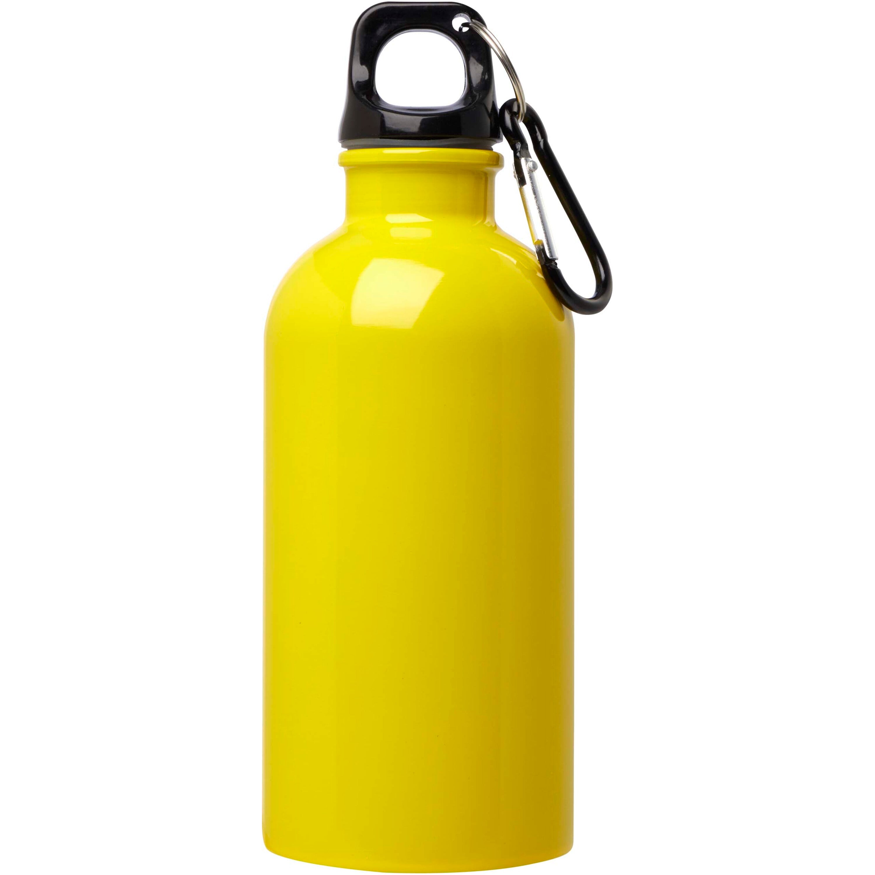 Upcycled Stainless Steel Water Bottle with Carabiner
