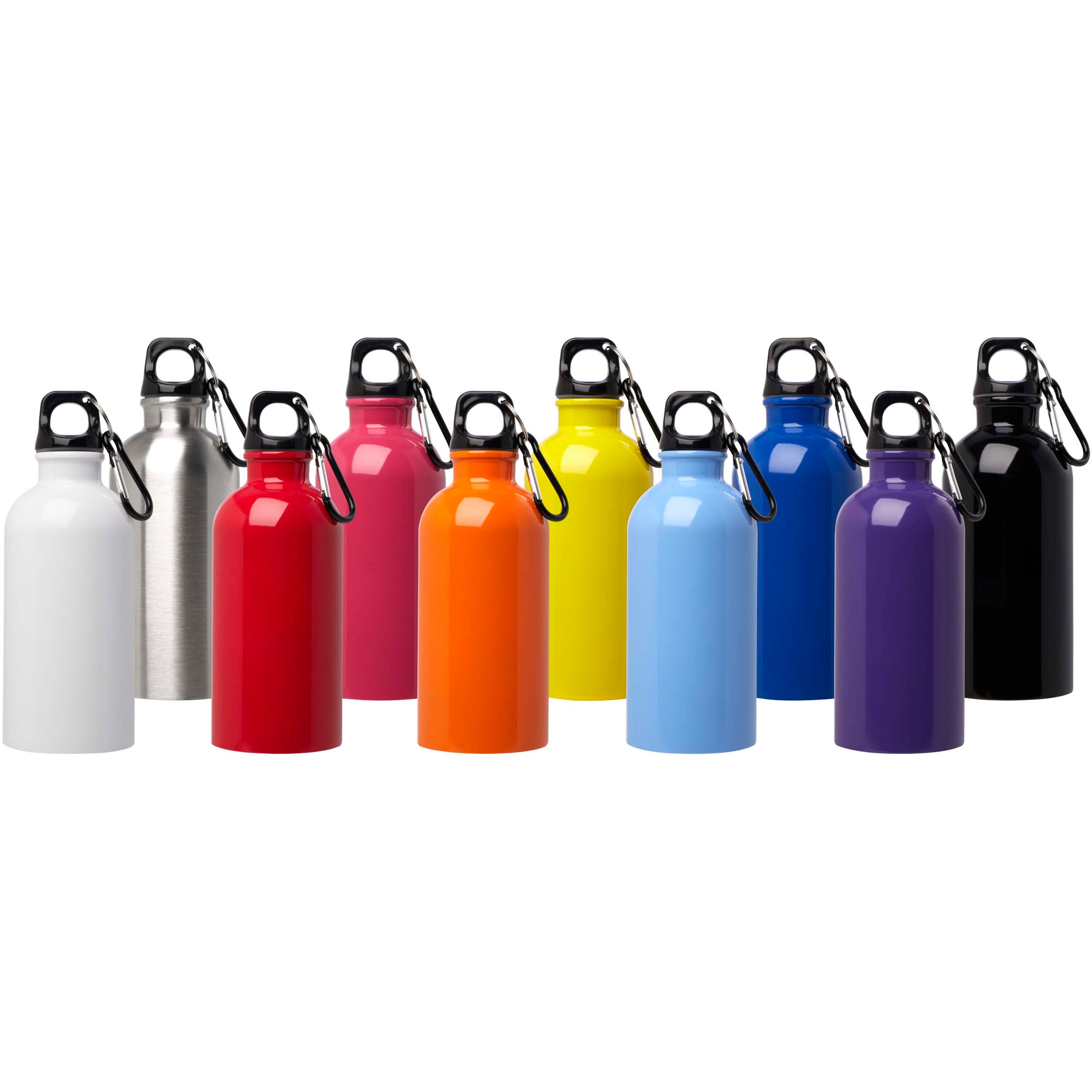 Upcycled Stainless Steel Water Bottle with Carabiner