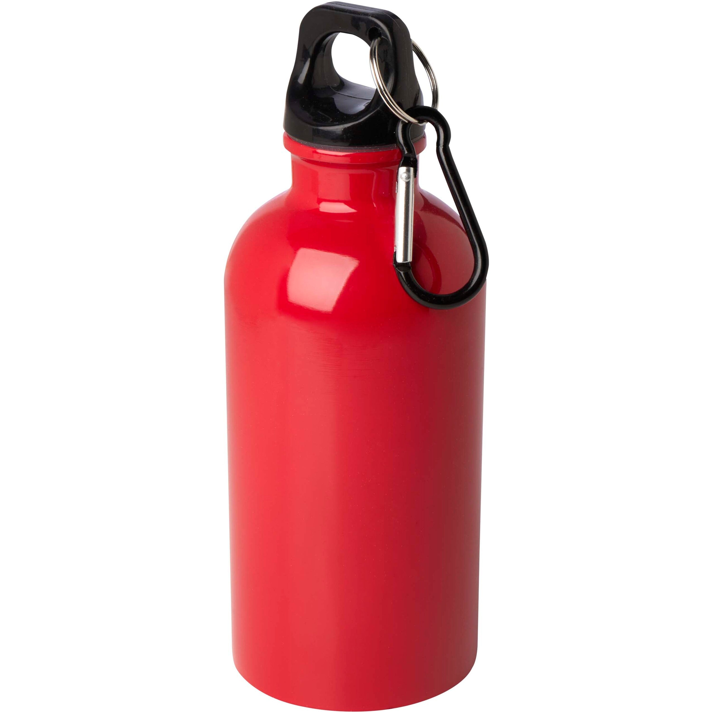 Upcycled Stainless Steel Water Bottle with Carabiner
