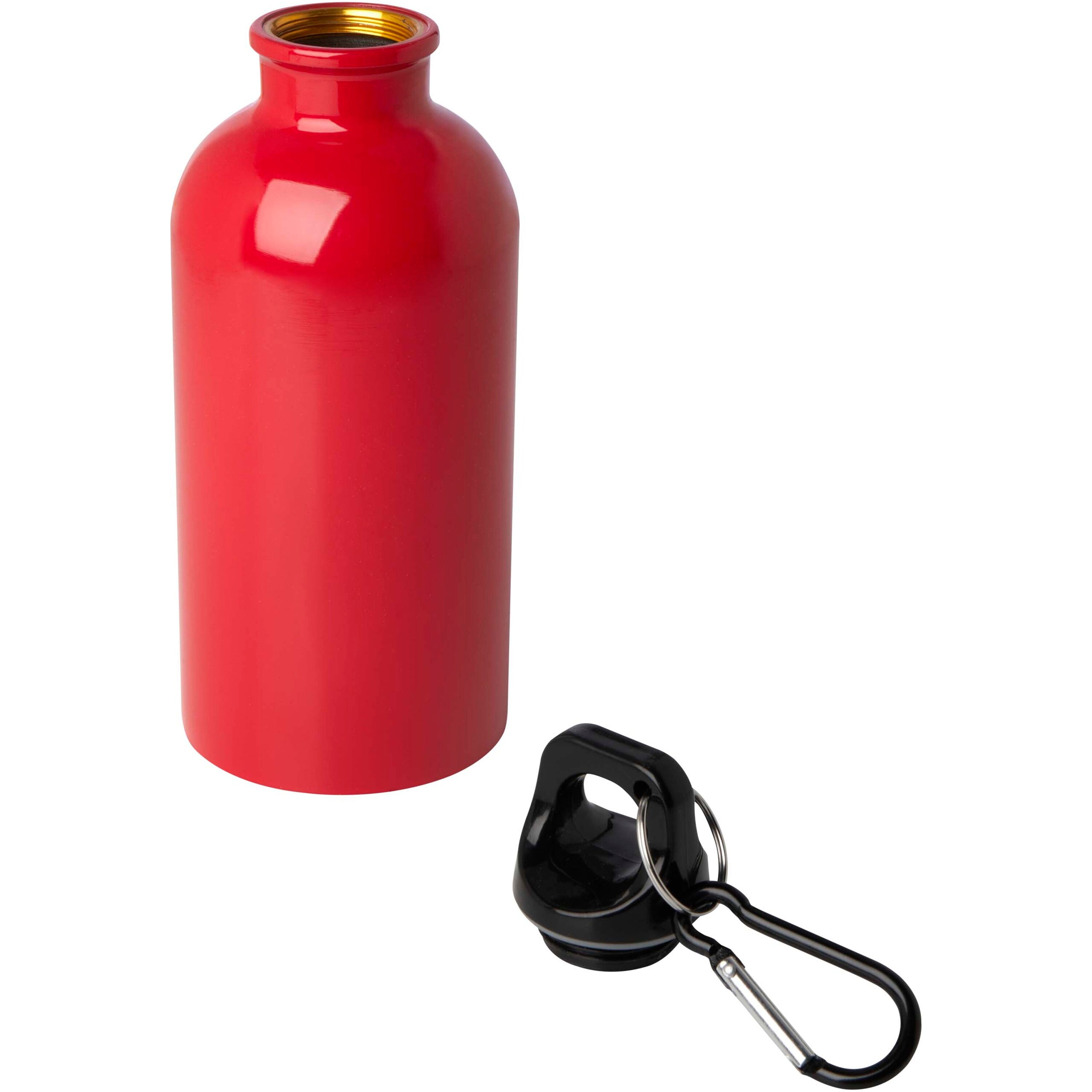 Upcycled Stainless Steel Water Bottle with Carabiner