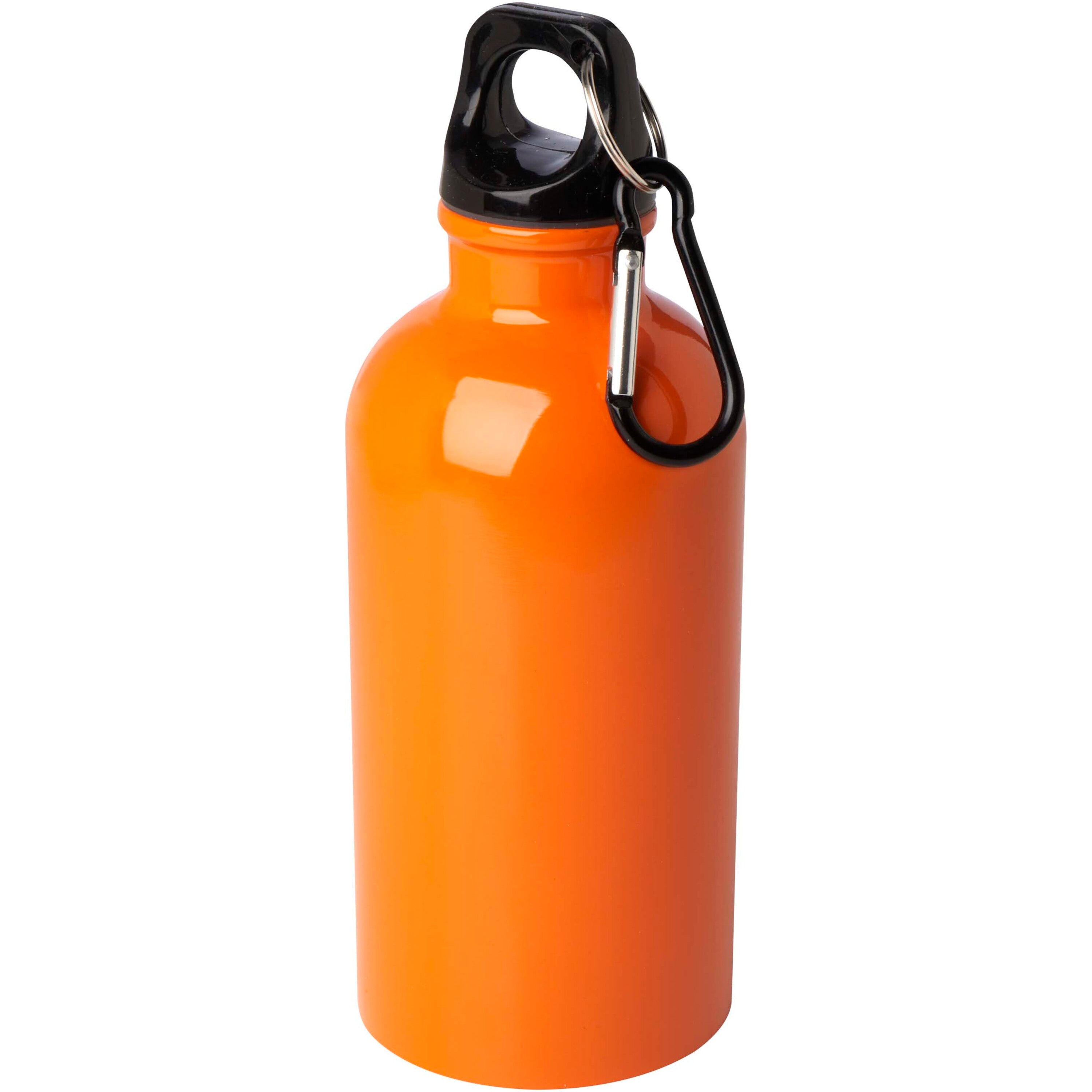 Upcycled Stainless Steel Water Bottle with Carabiner