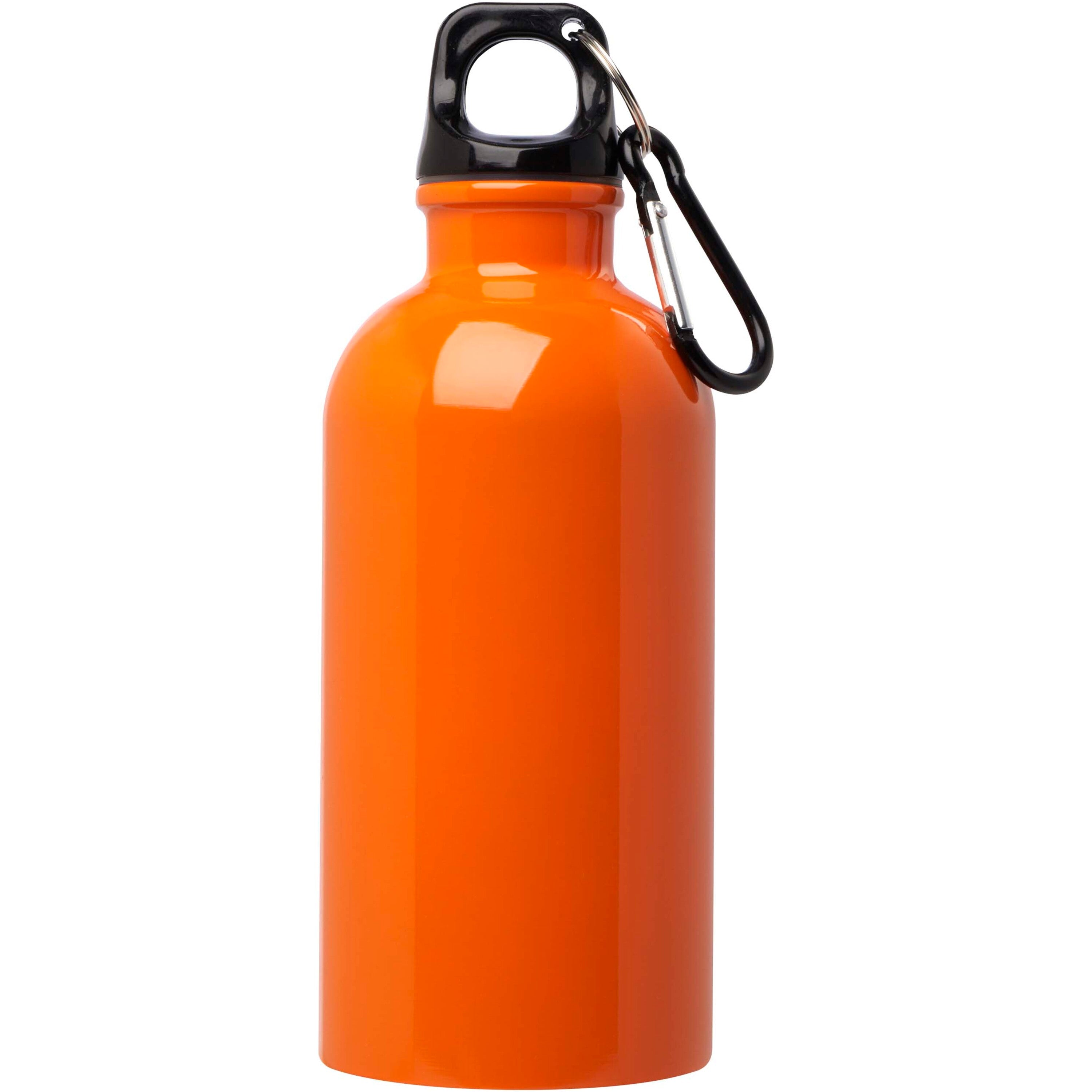 Upcycled Stainless Steel Water Bottle with Carabiner