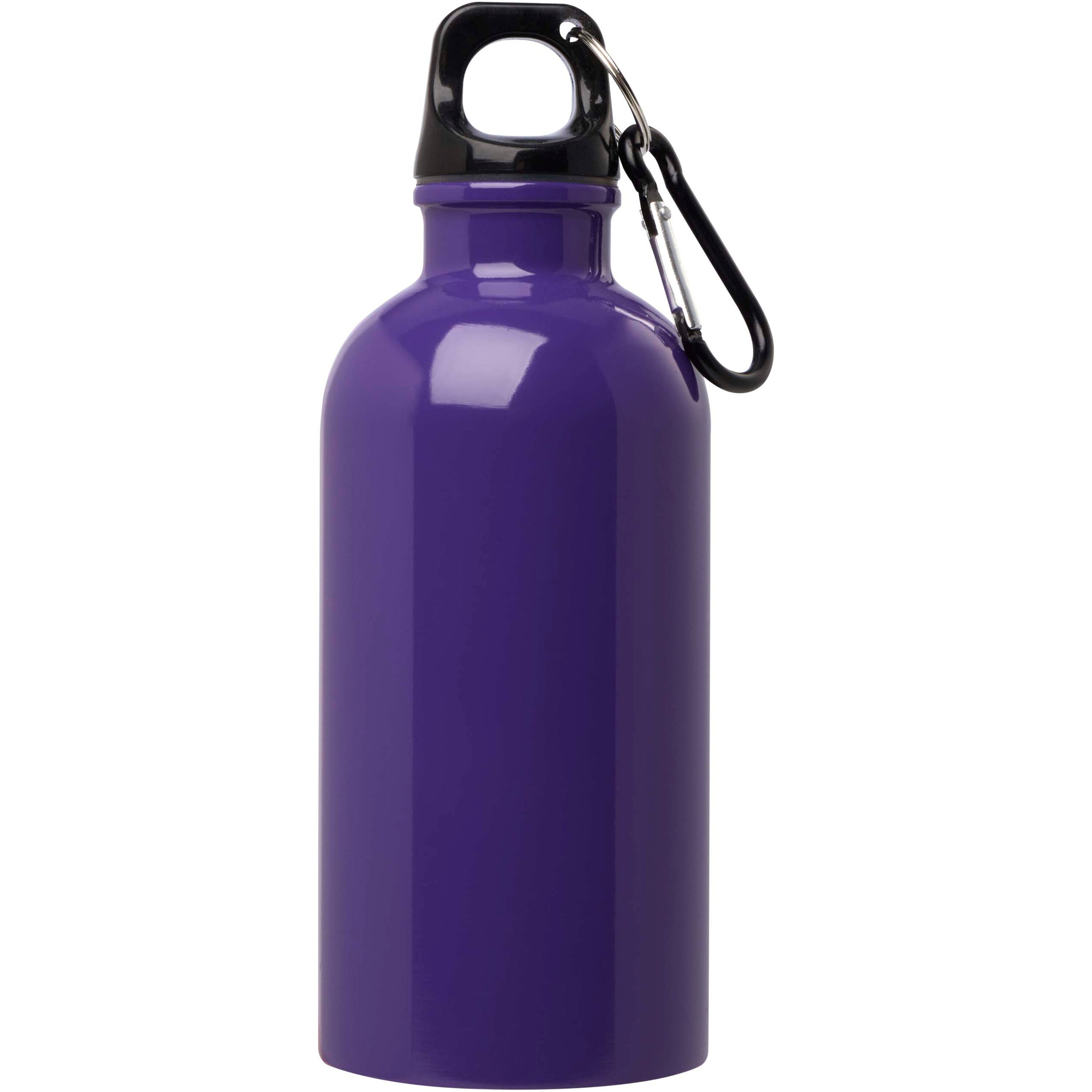 Upcycled Stainless Steel Water Bottle with Carabiner