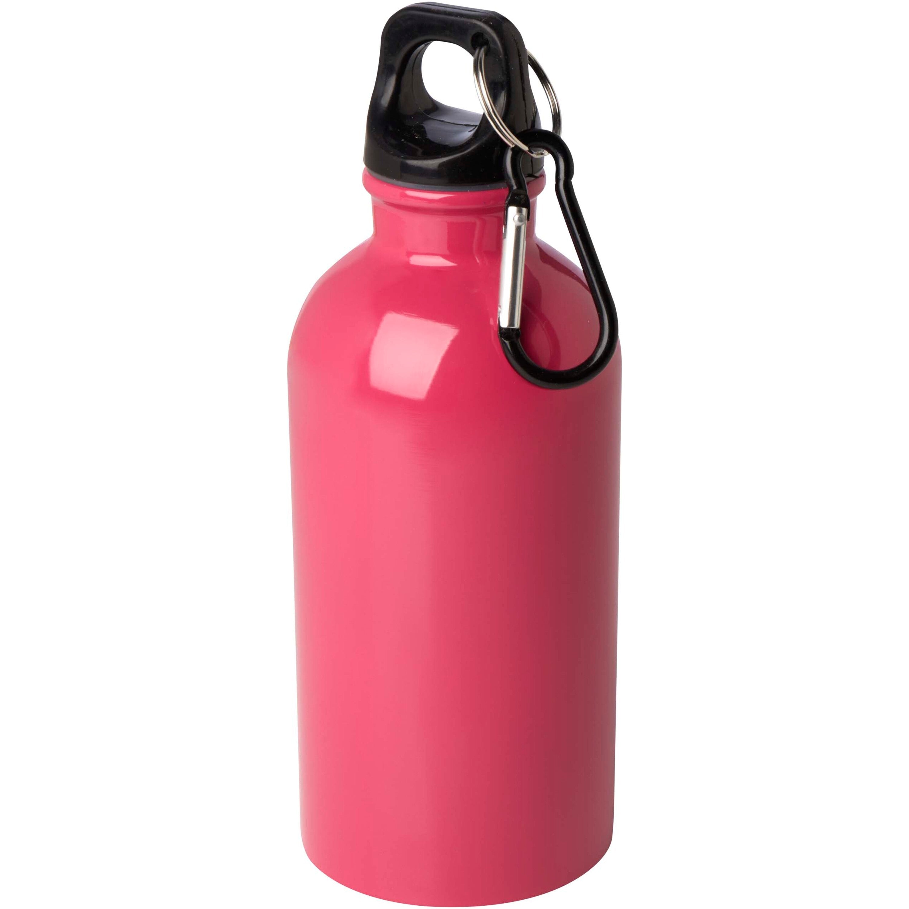 Upcycled Stainless Steel Water Bottle with Carabiner
