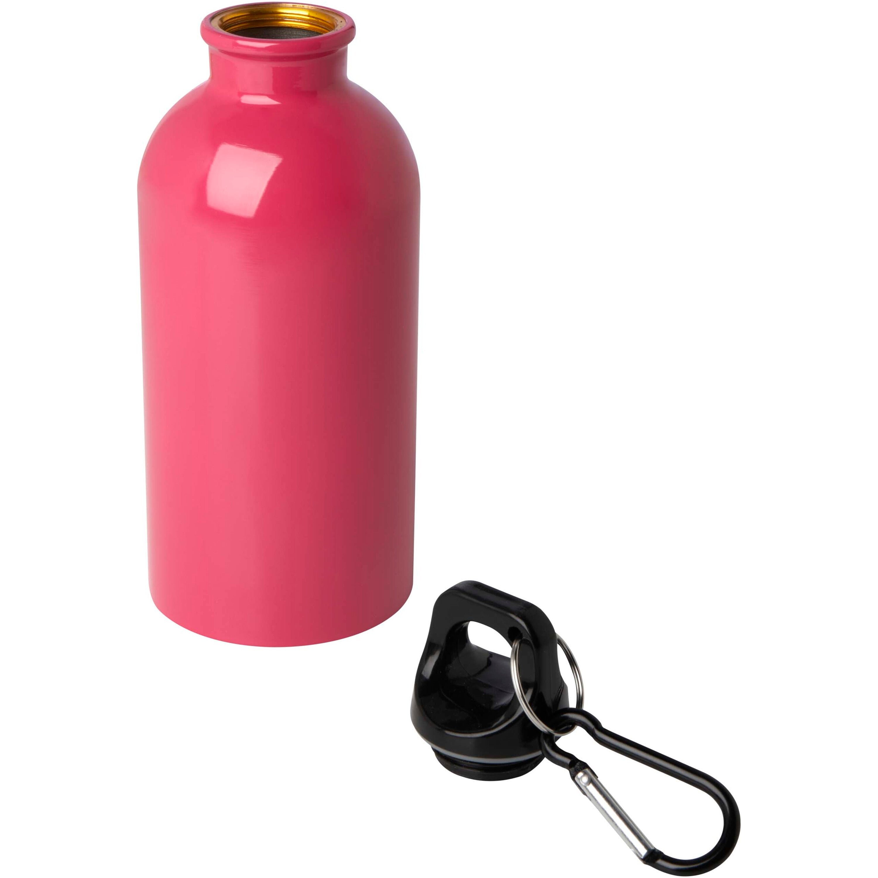 Upcycled Stainless Steel Water Bottle with Carabiner