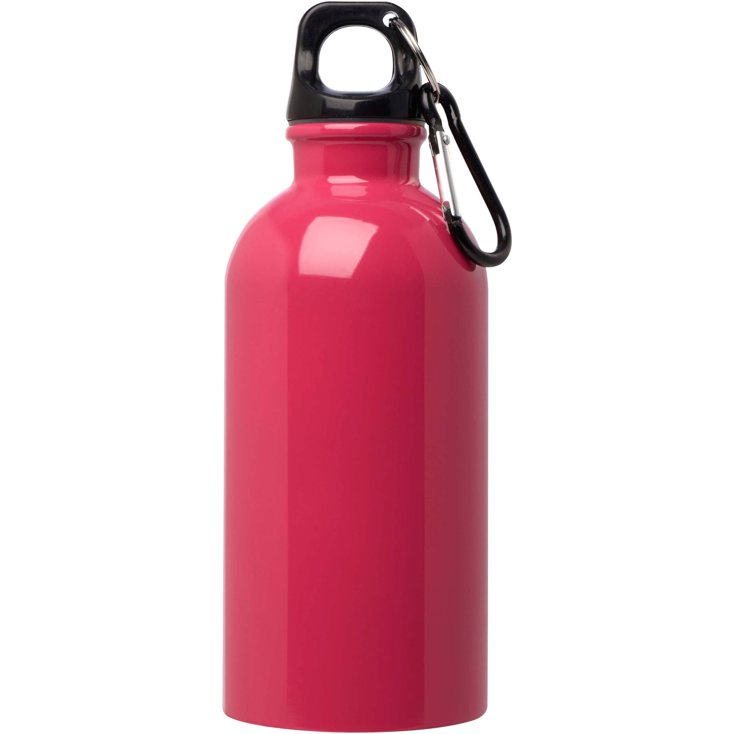 Upcycled Stainless Steel Water Bottle with Carabiner