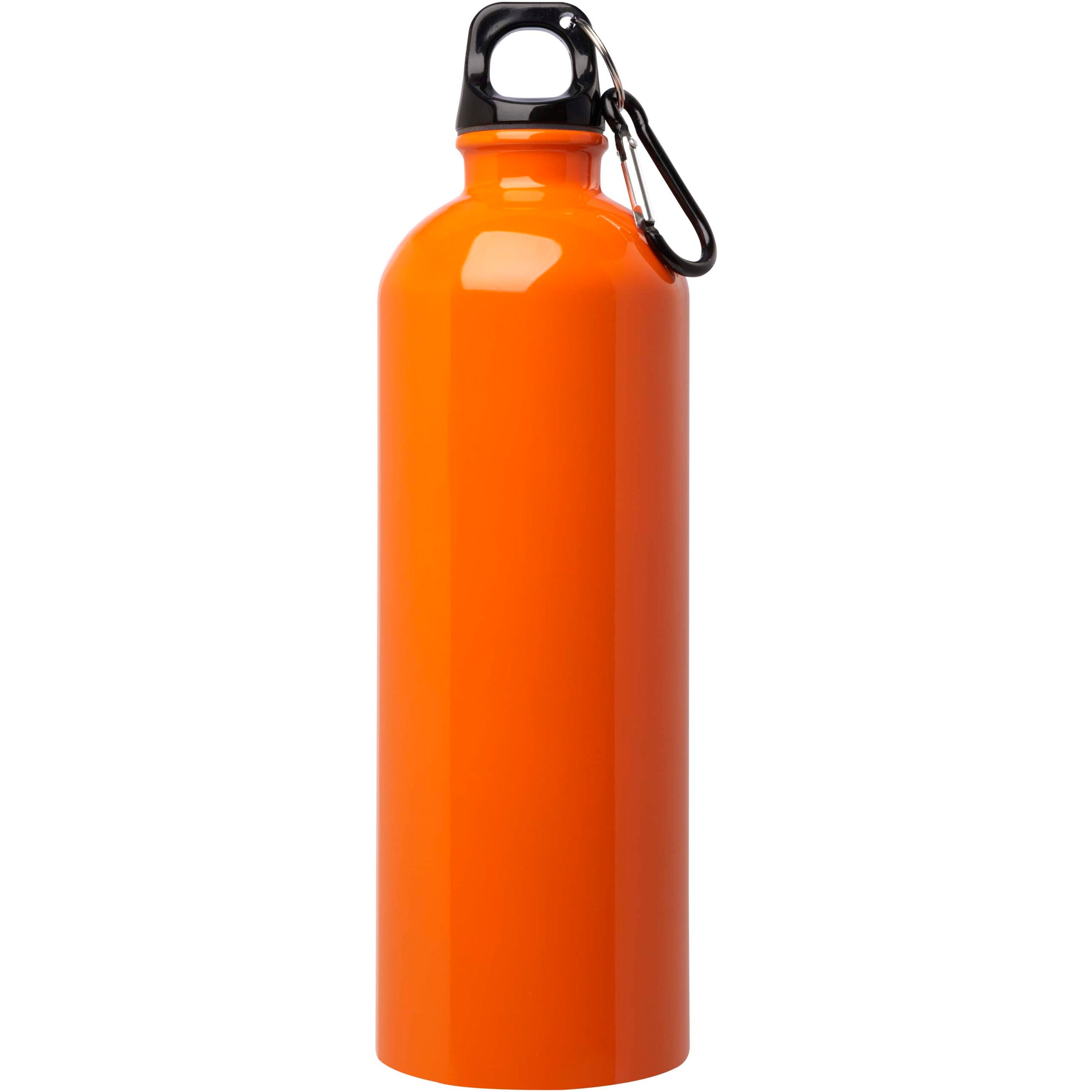 Oregon Stainless Steel Water Bottle with Carabiner
