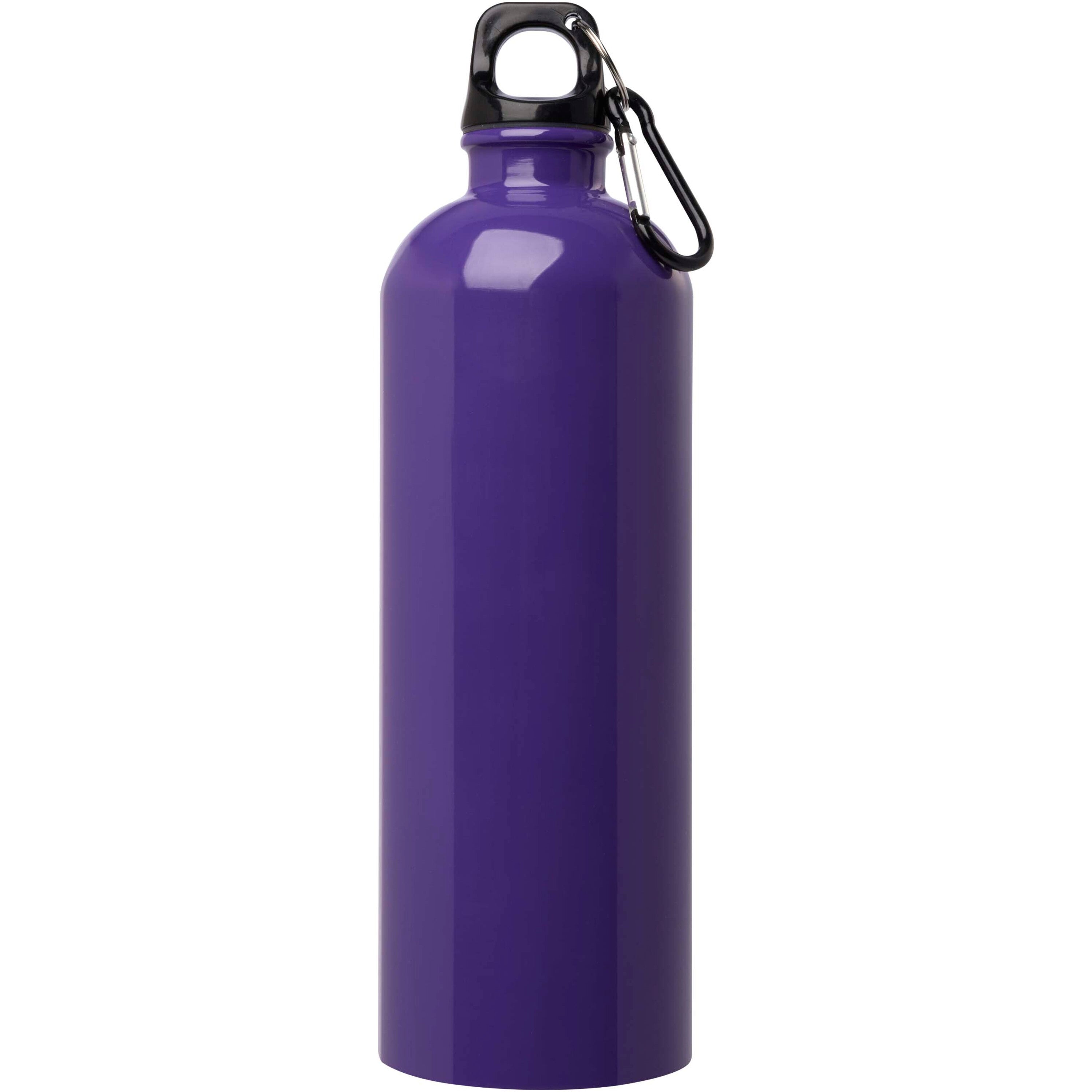 Oregon Stainless Steel Water Bottle with Carabiner