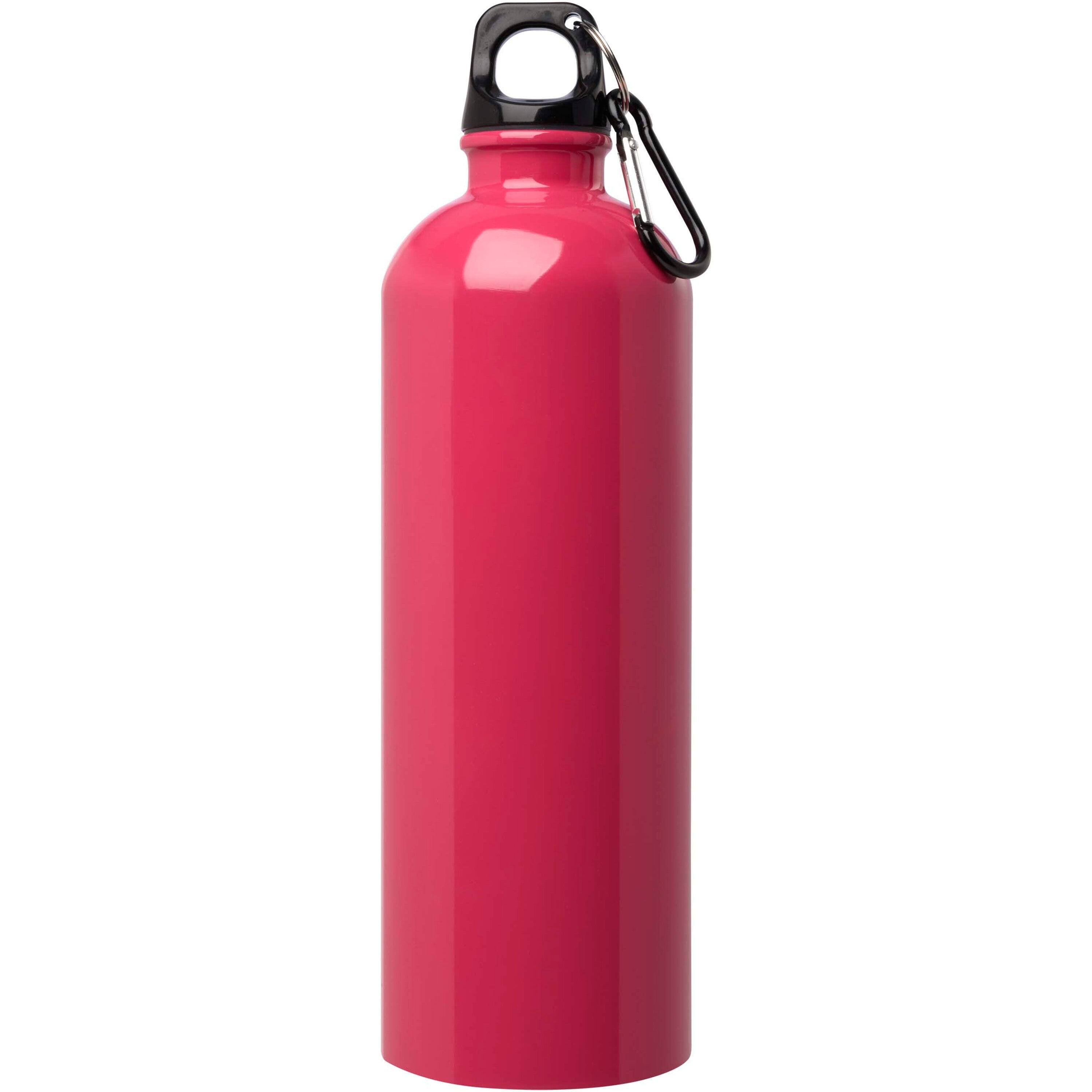Oregon Stainless Steel Water Bottle with Carabiner