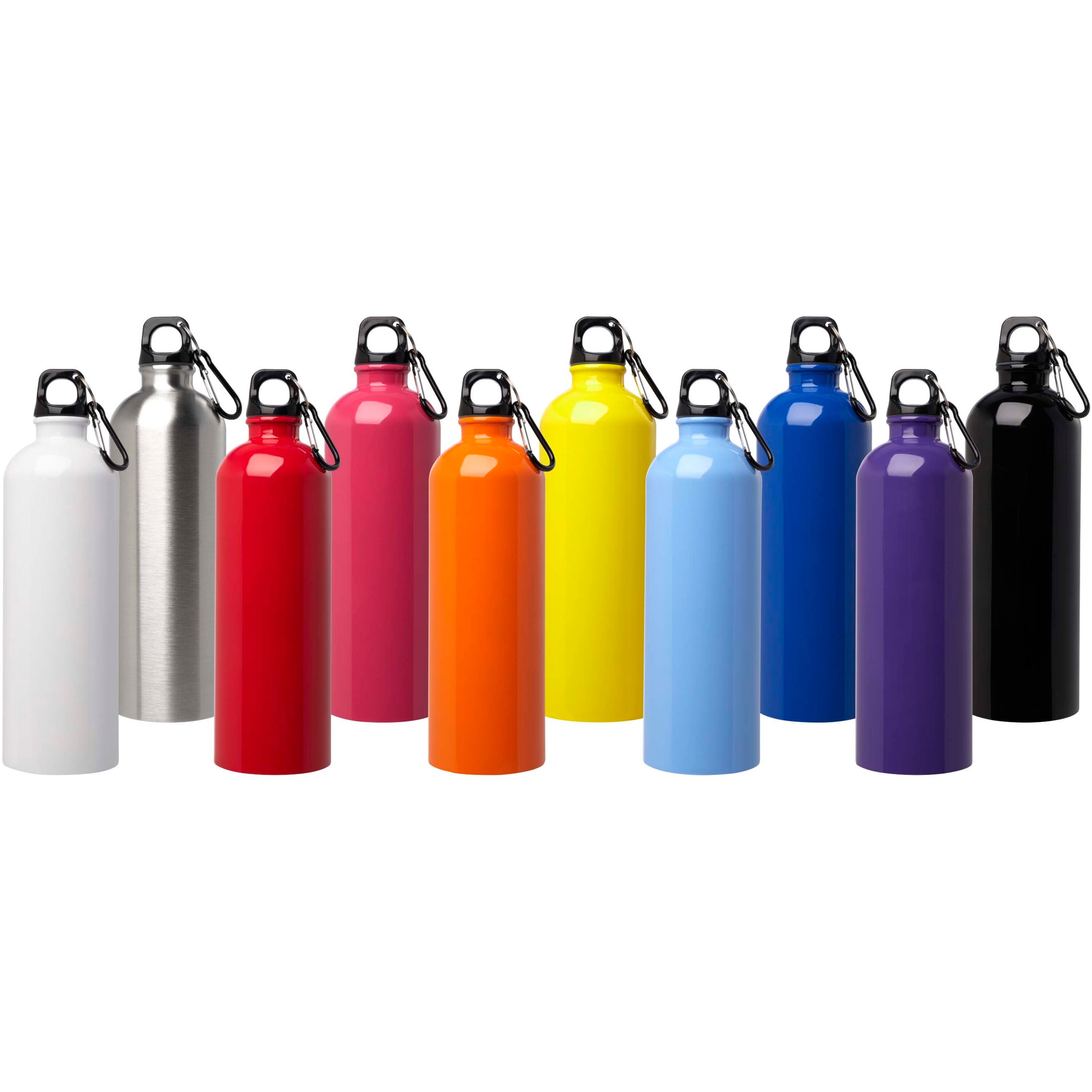 Oregon Stainless Steel Water Bottle with Carabiner