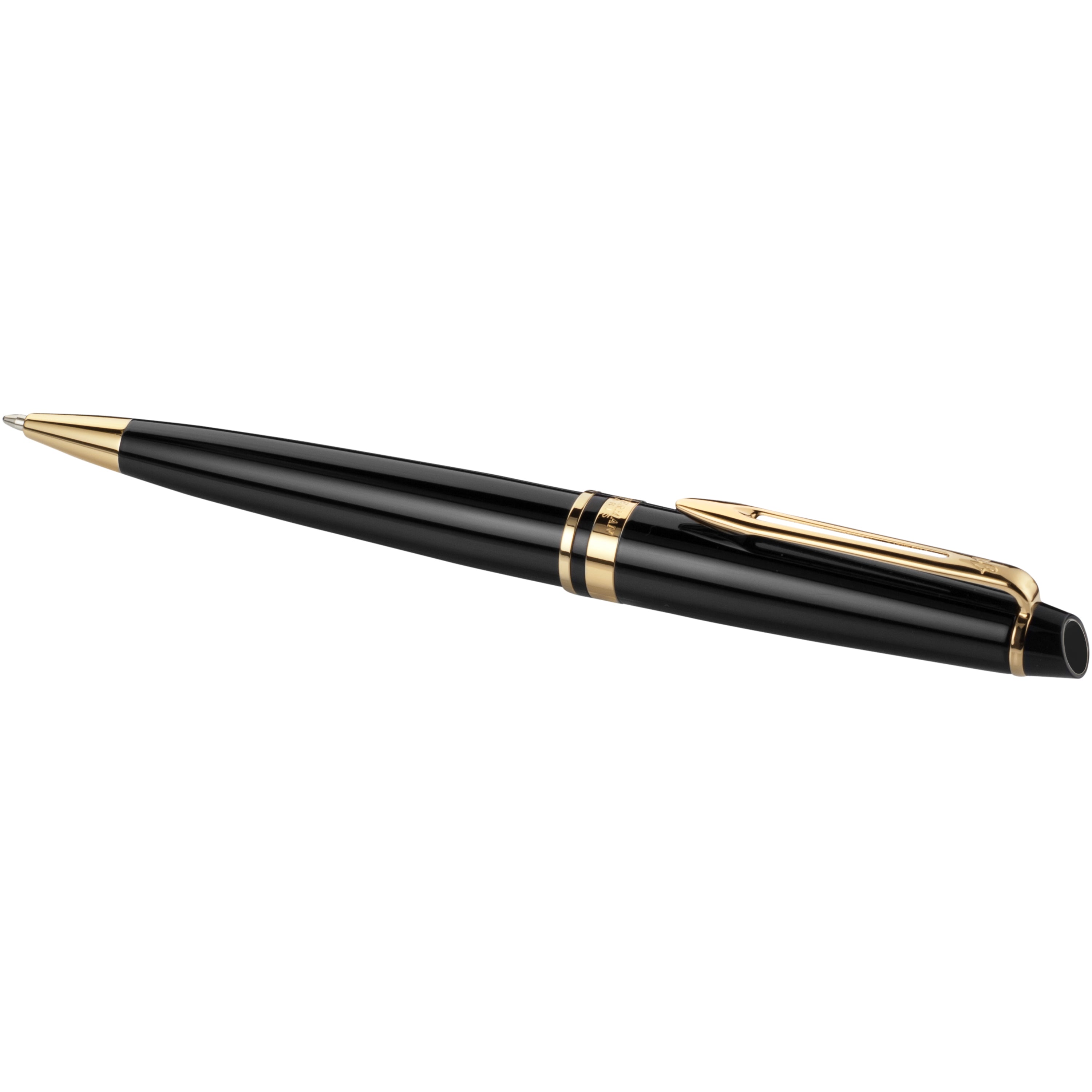 Waterman Expert Ballpoint Pen