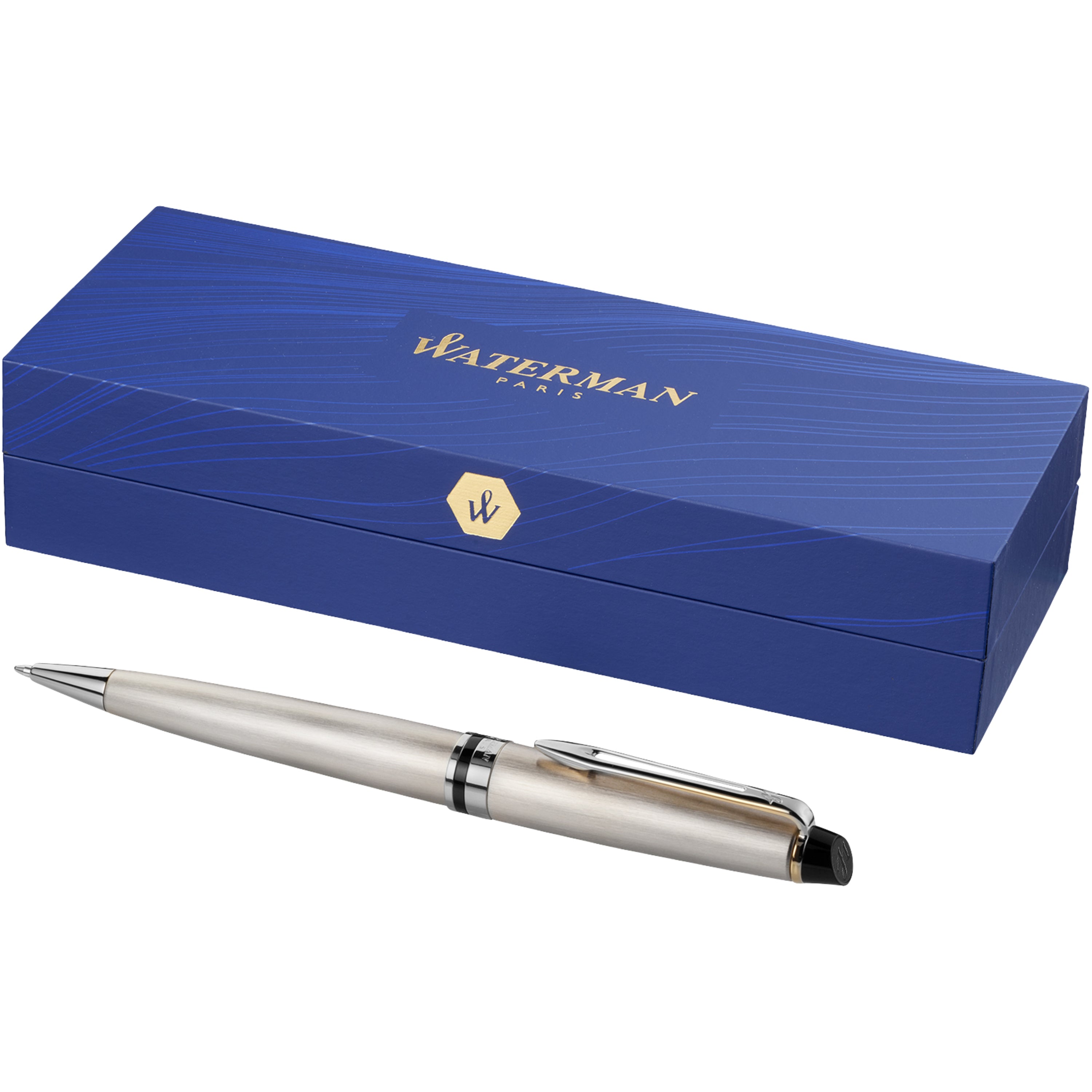 Waterman Expert Ballpoint Pen