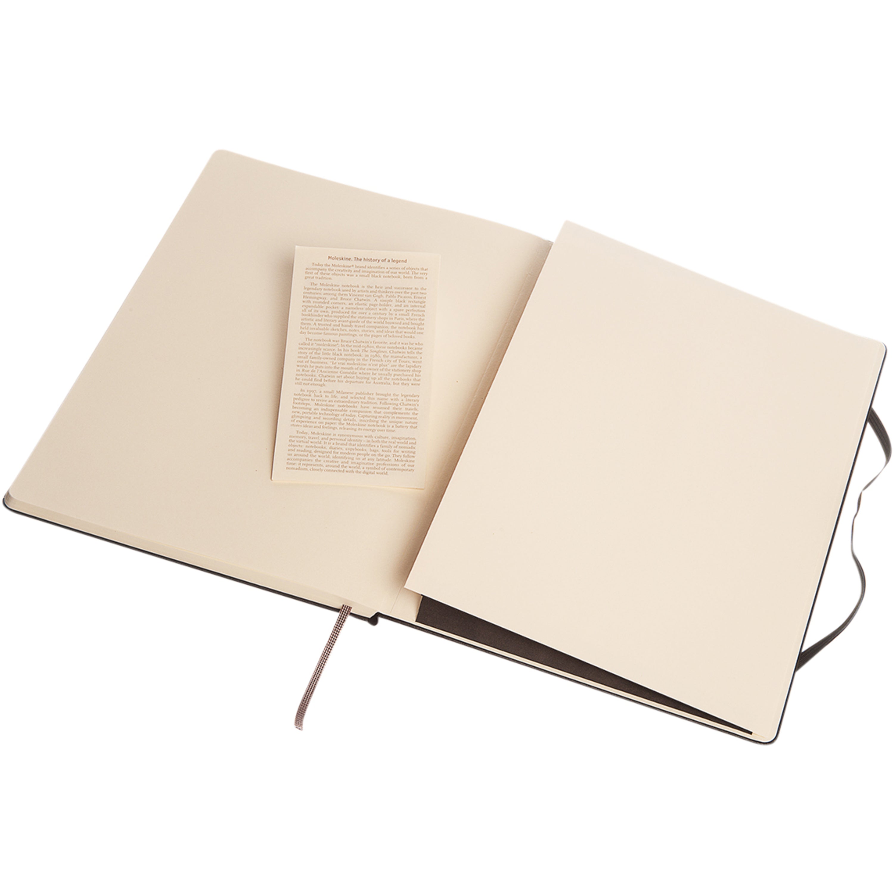 Extra Large Moleskine Classic Hard Cover Notebook