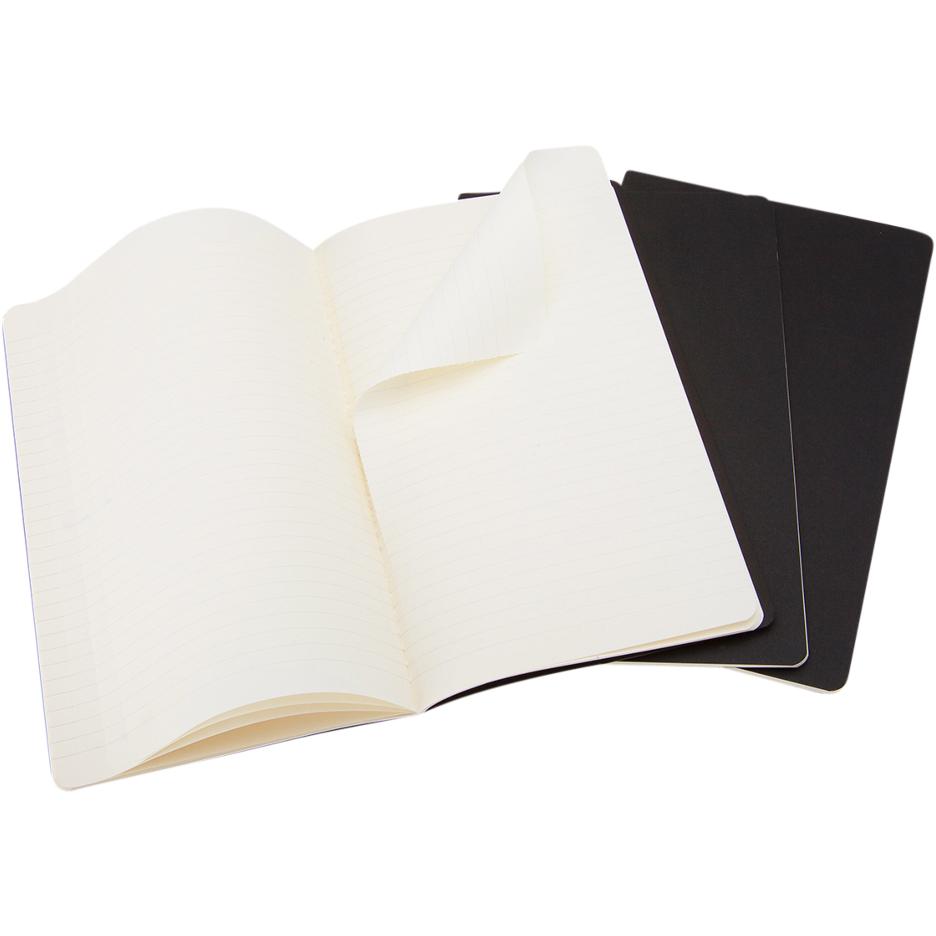 Moleskine Cahier Journal