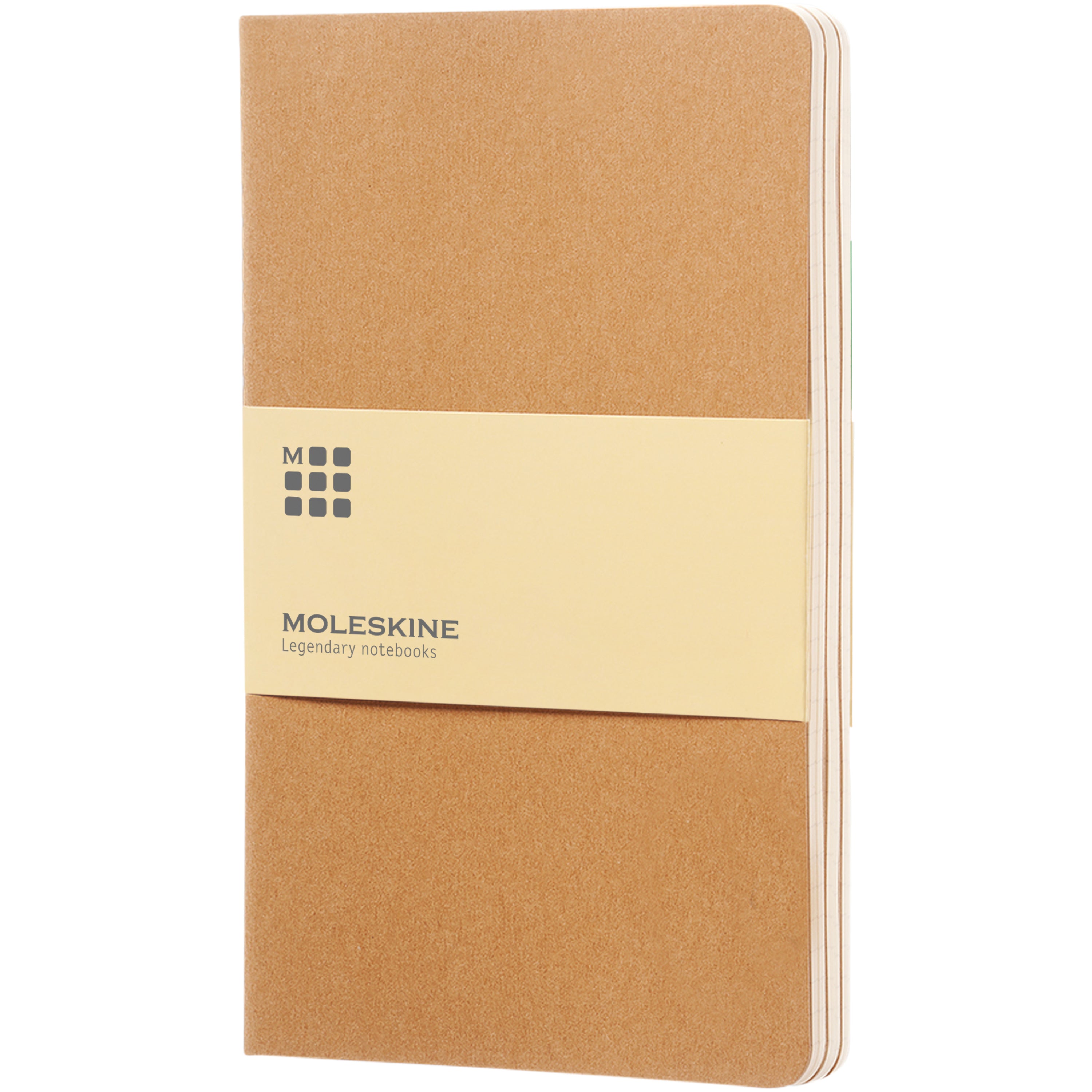 Moleskine Cahier Journal