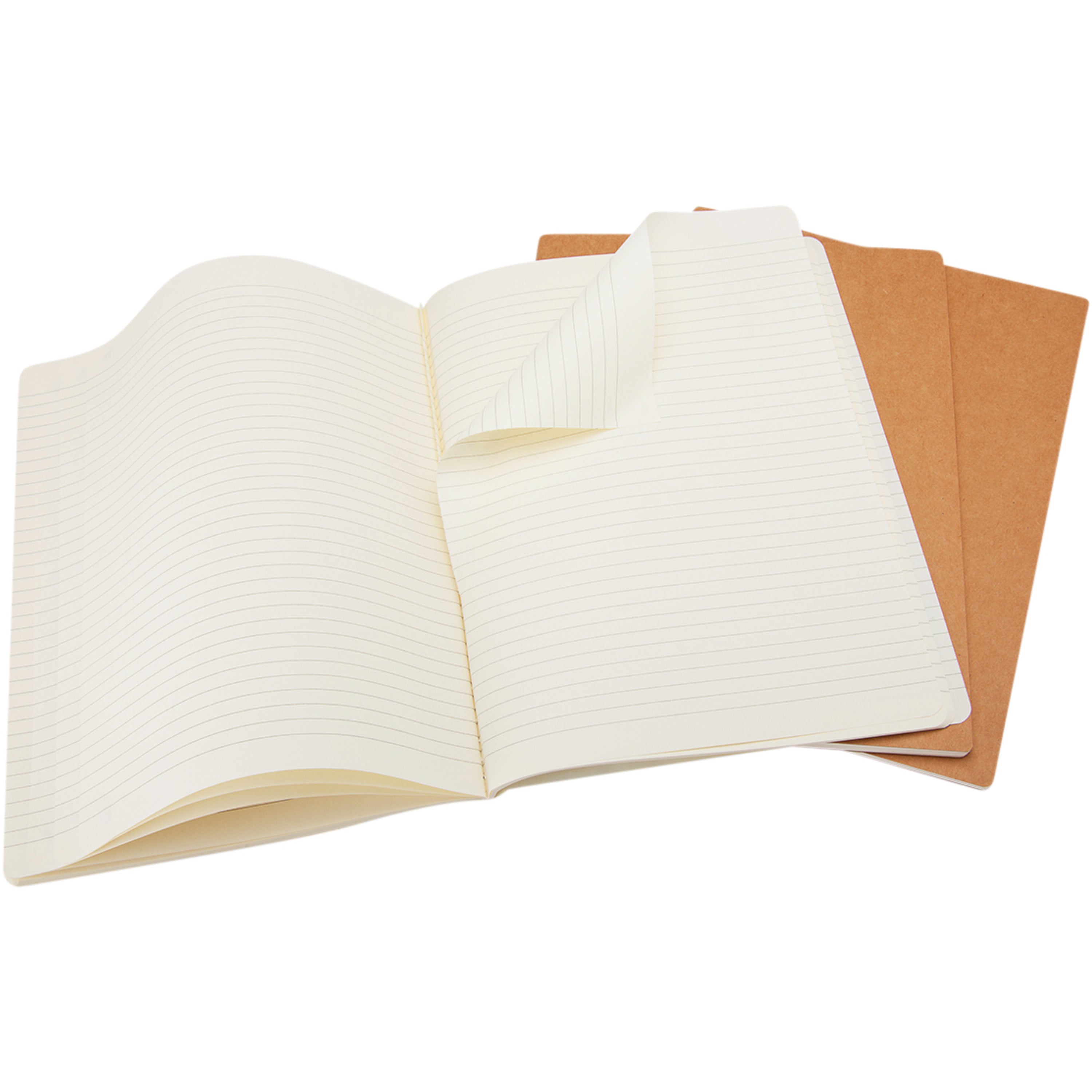 Moleskine Cahier Journal