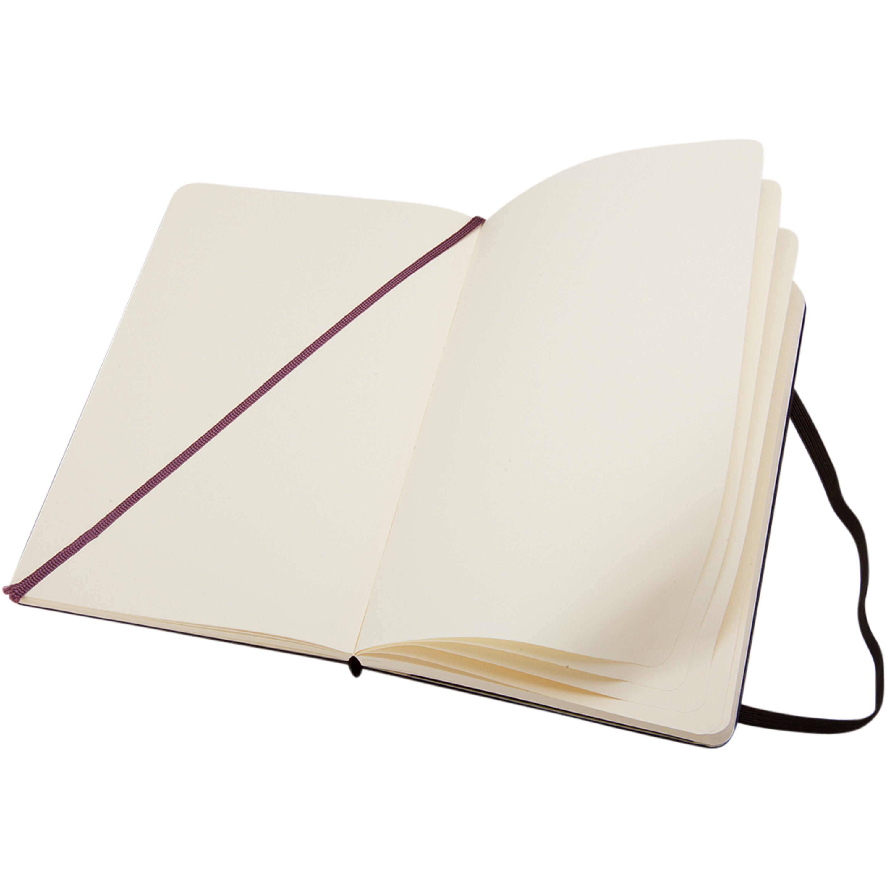 Large Moleskine Classic Hard Cover Notebook