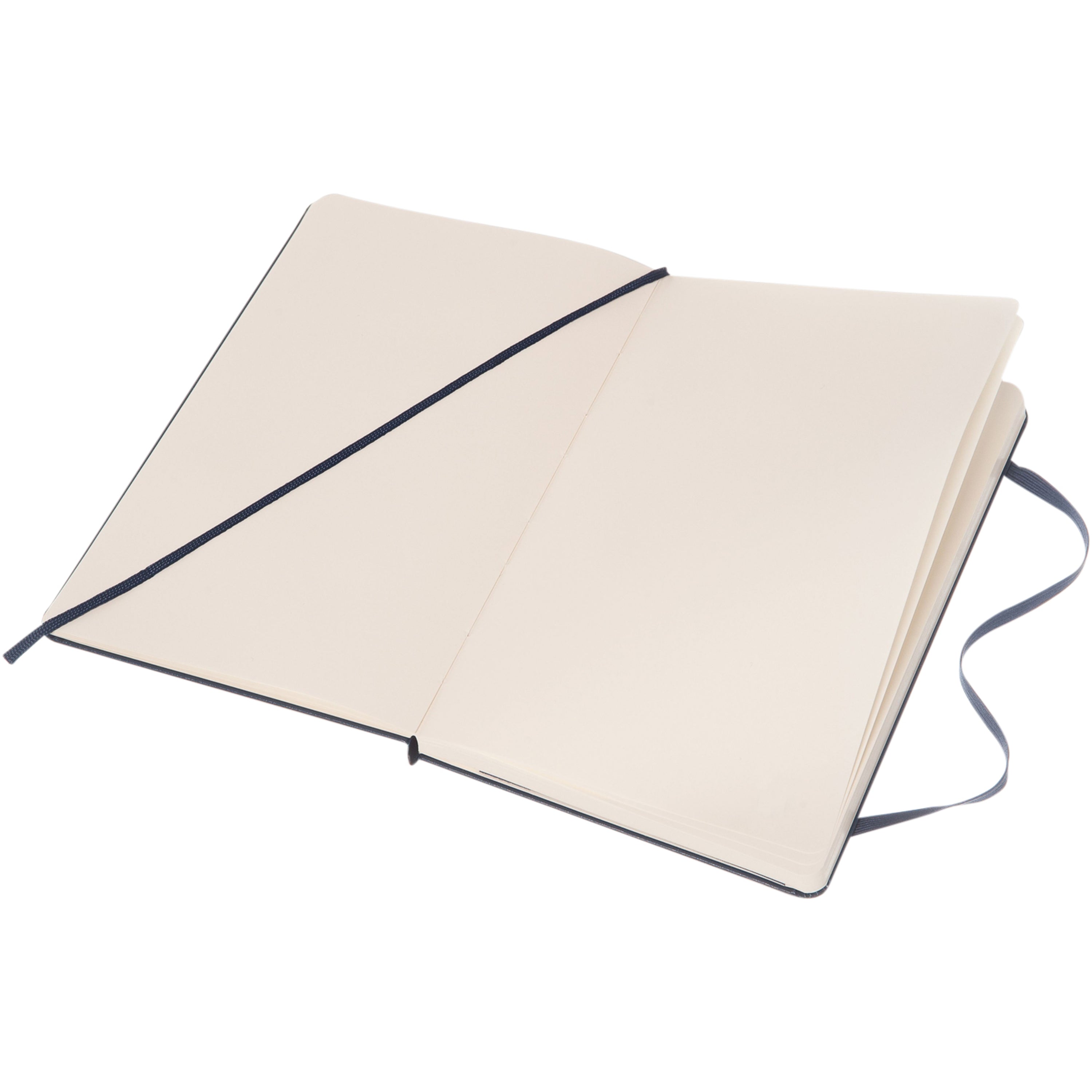Large Moleskine Classic Hard Cover Notebook