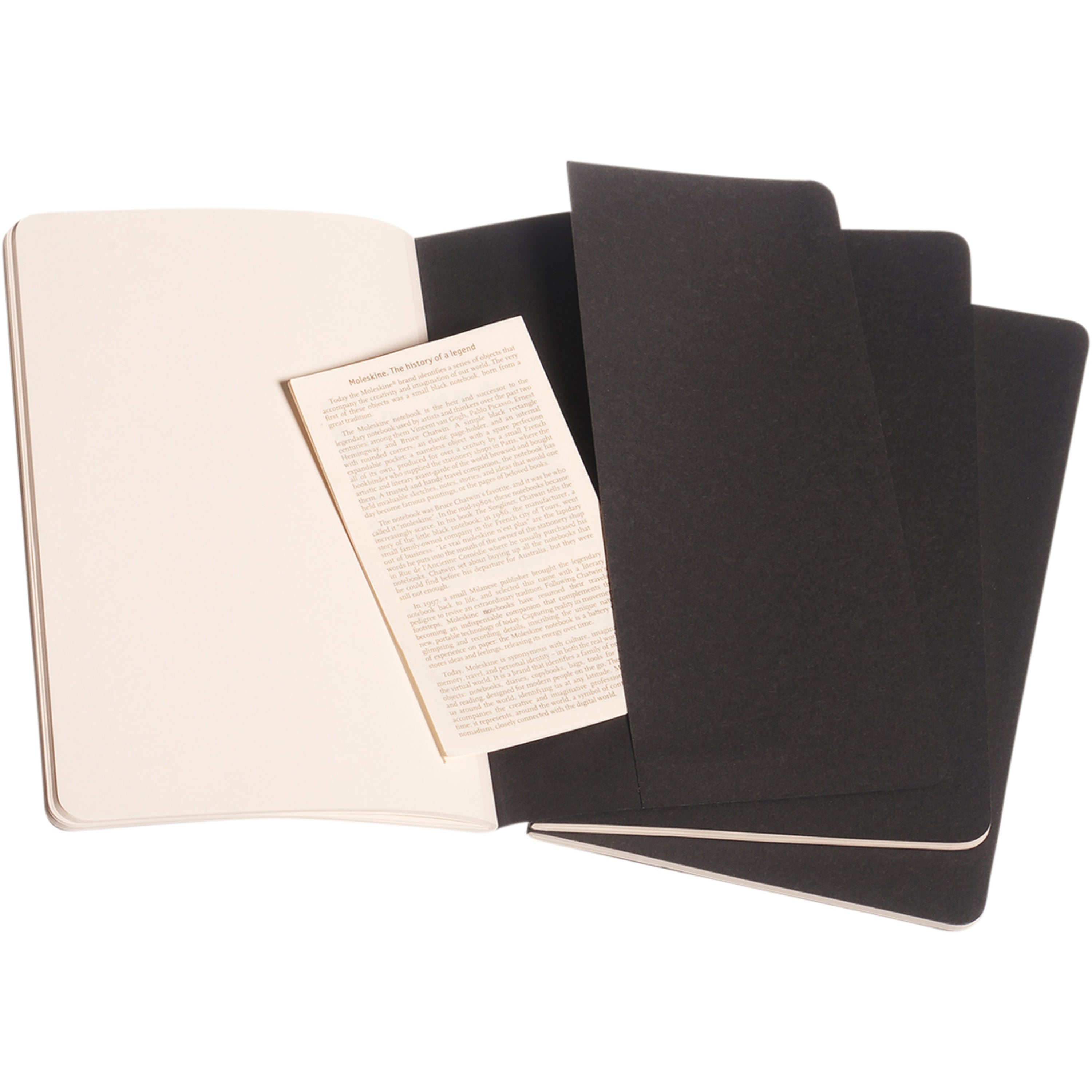 Large Moleskine Cahier Journal