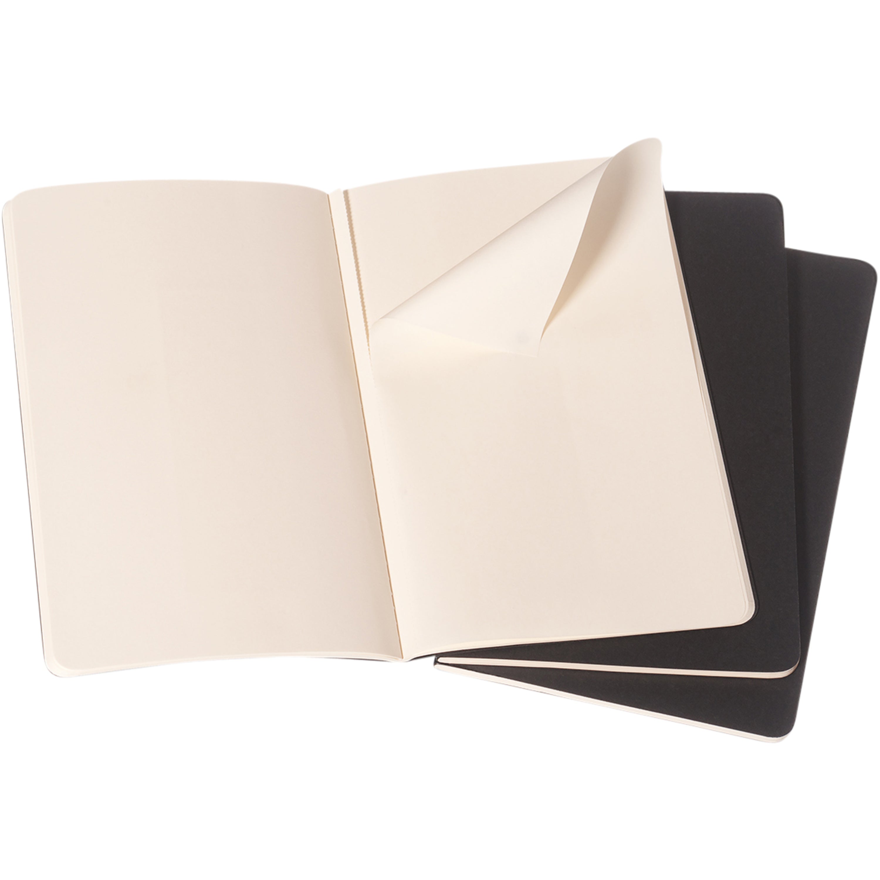 Large Moleskine Cahier Journal