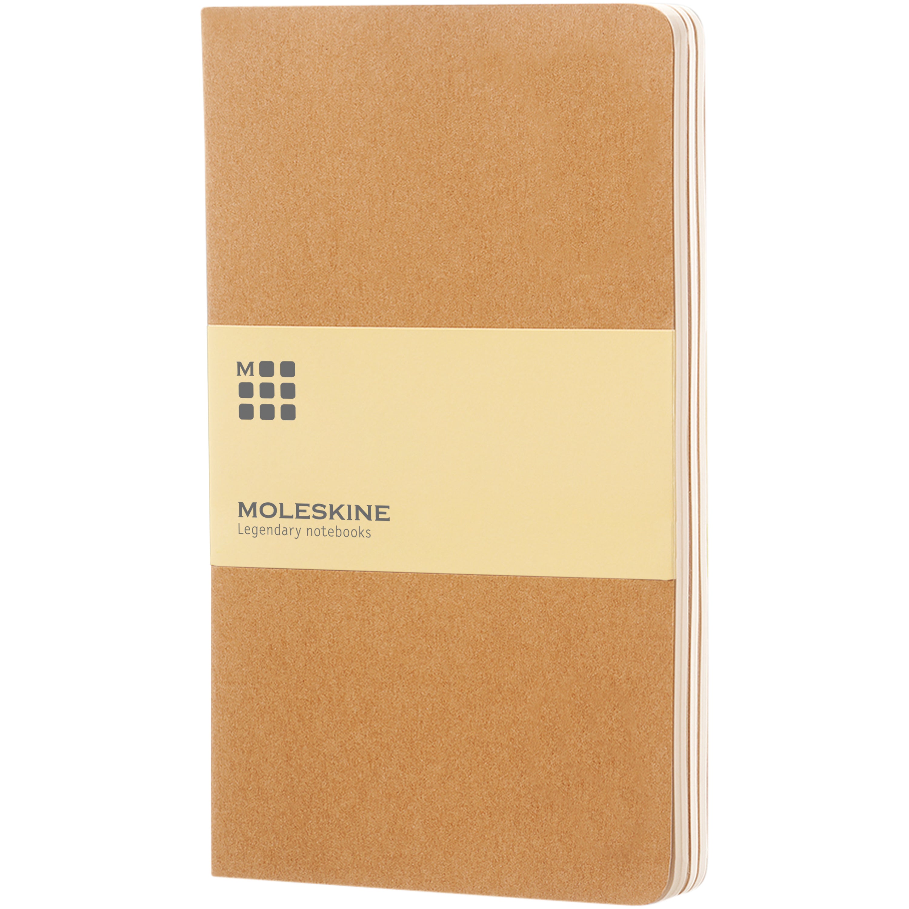 Large Moleskine Cahier Journal