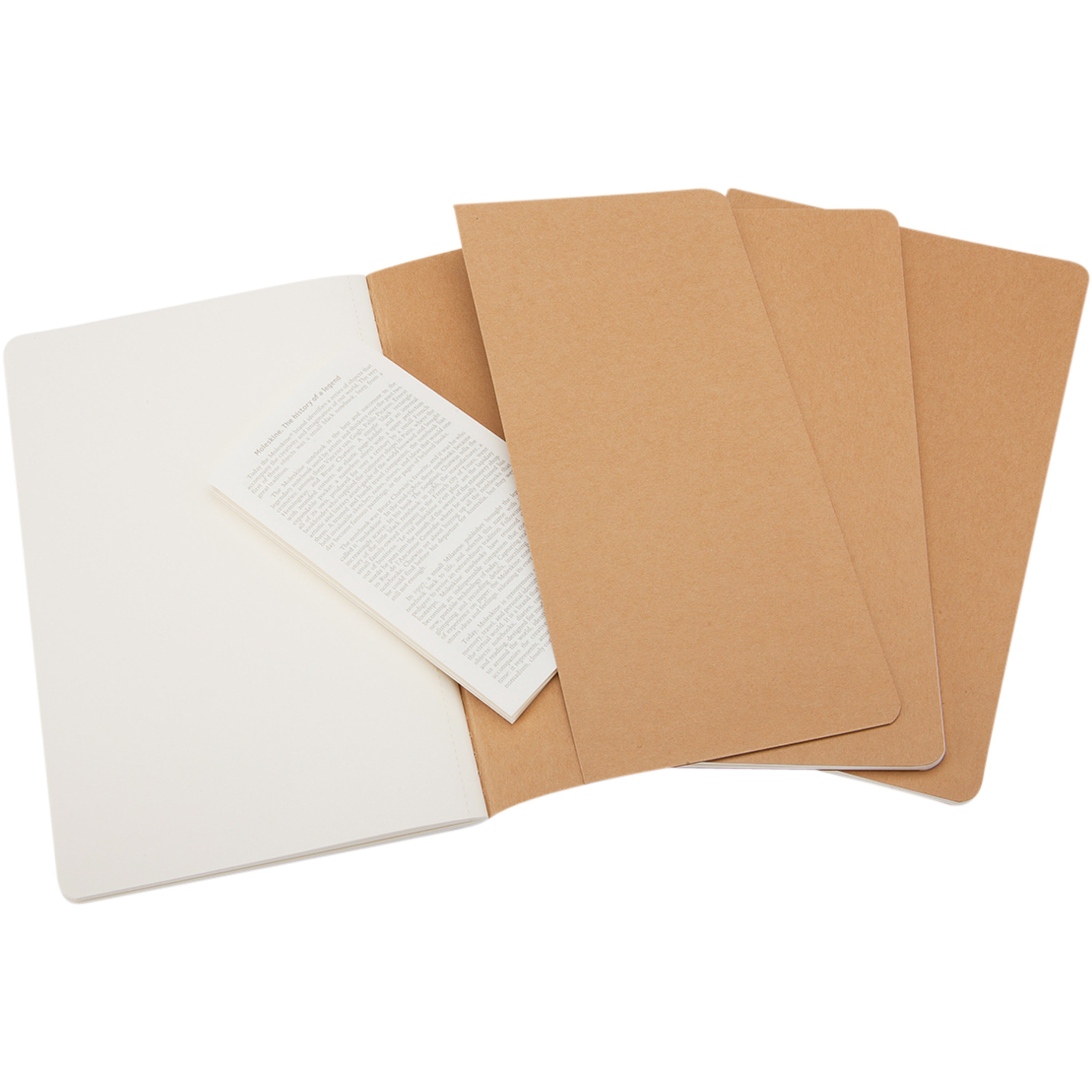 Large Moleskine Cahier Journal
