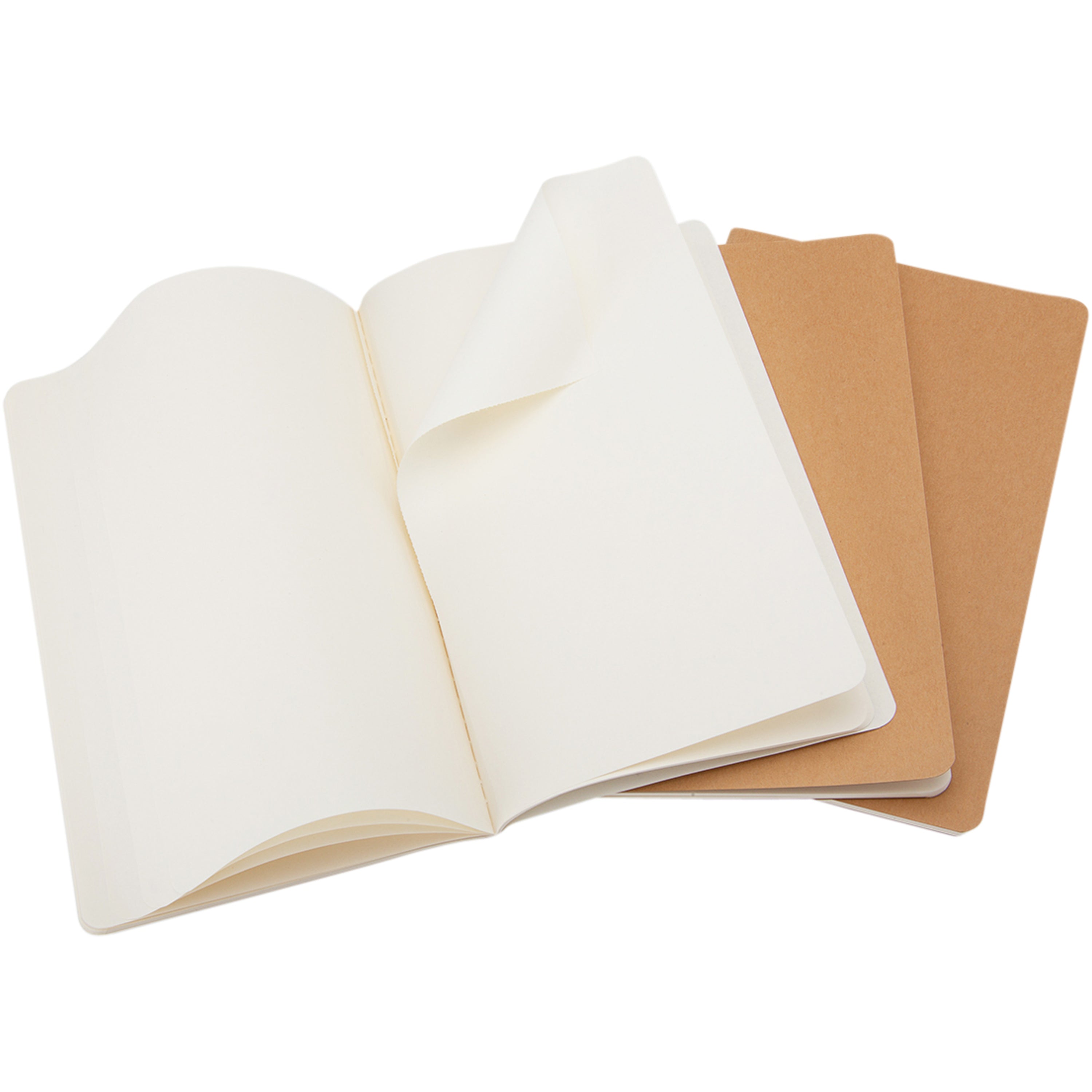 Large Moleskine Cahier Journal