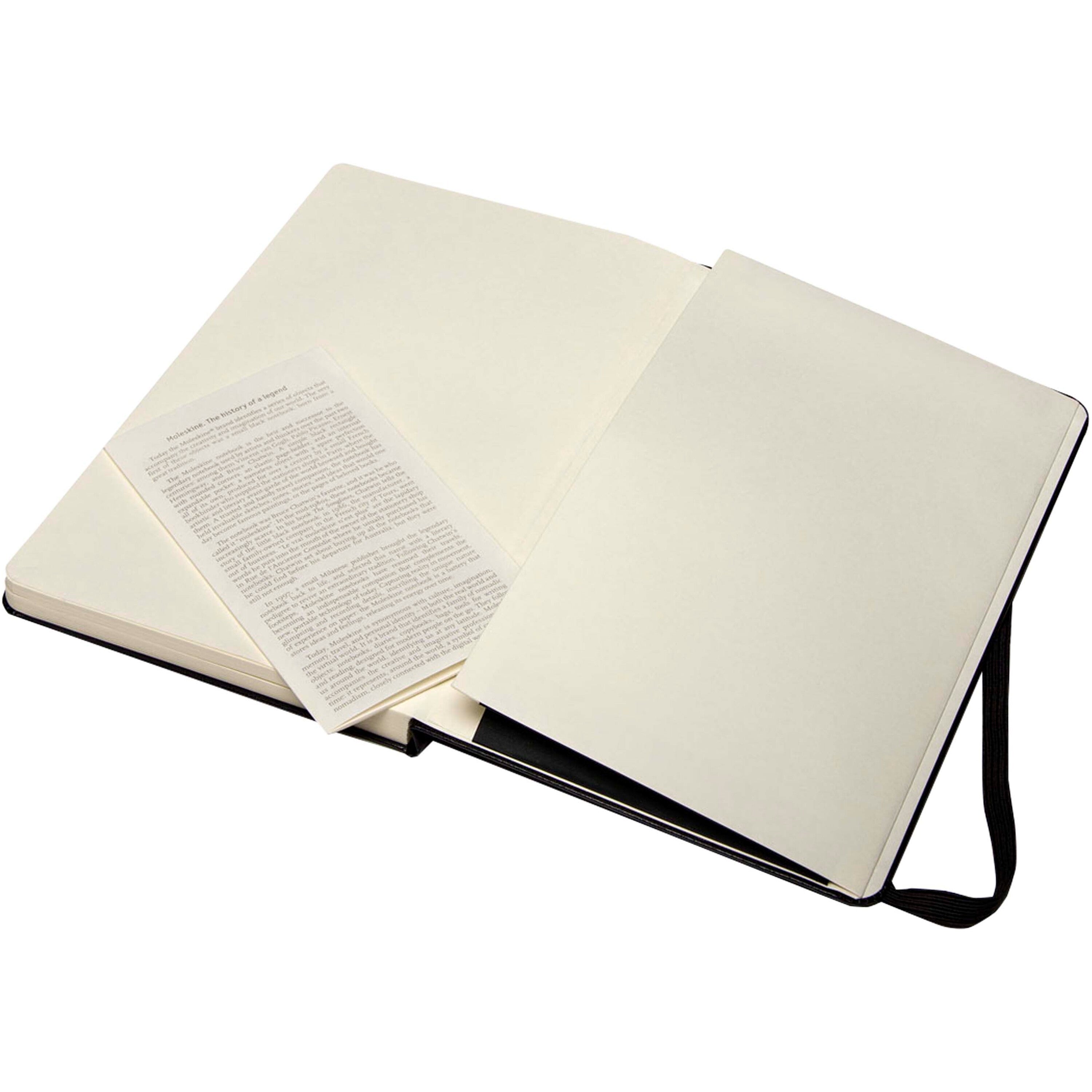 Moleskine Large Art Sketchbook