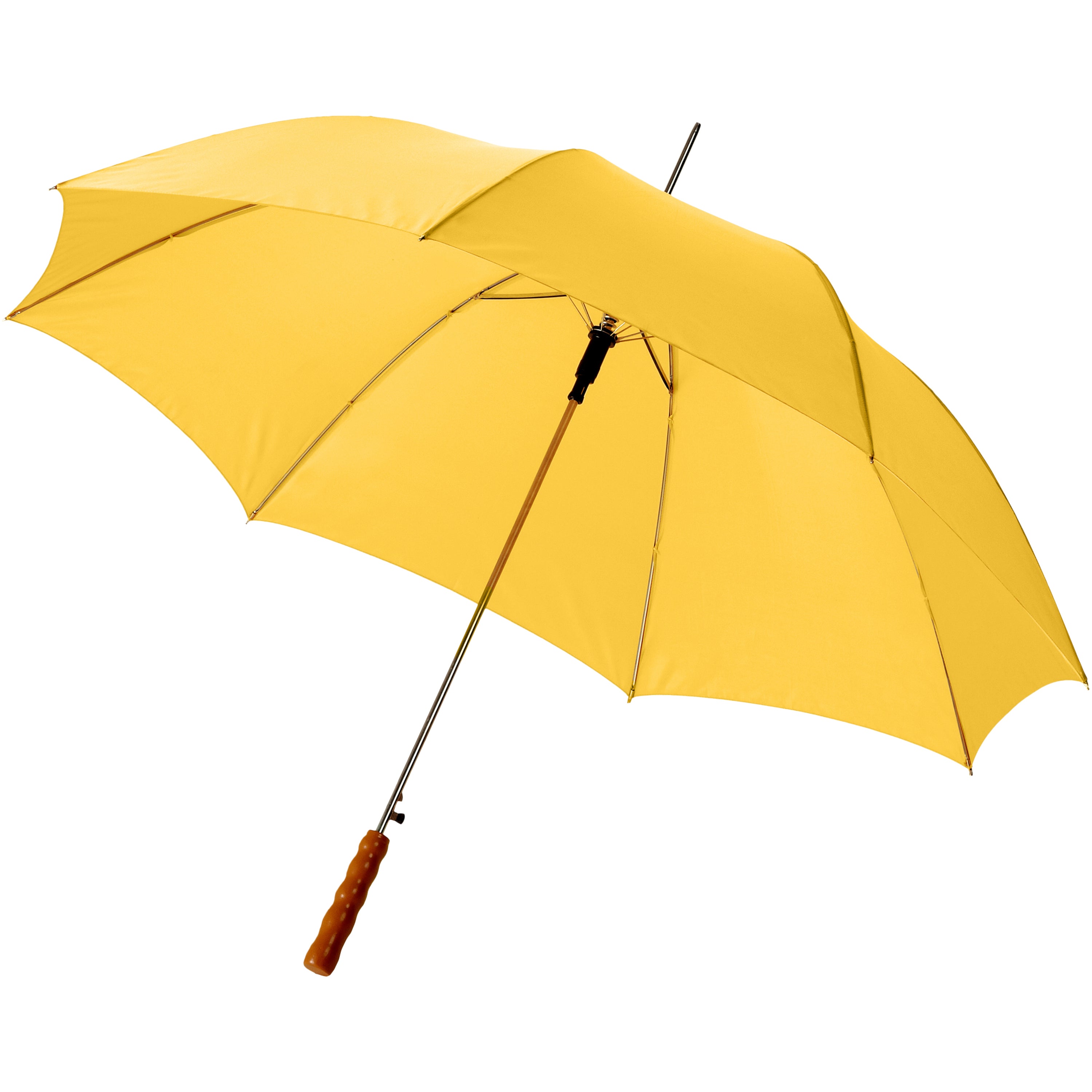 Lisa 23 Inch Umbrella