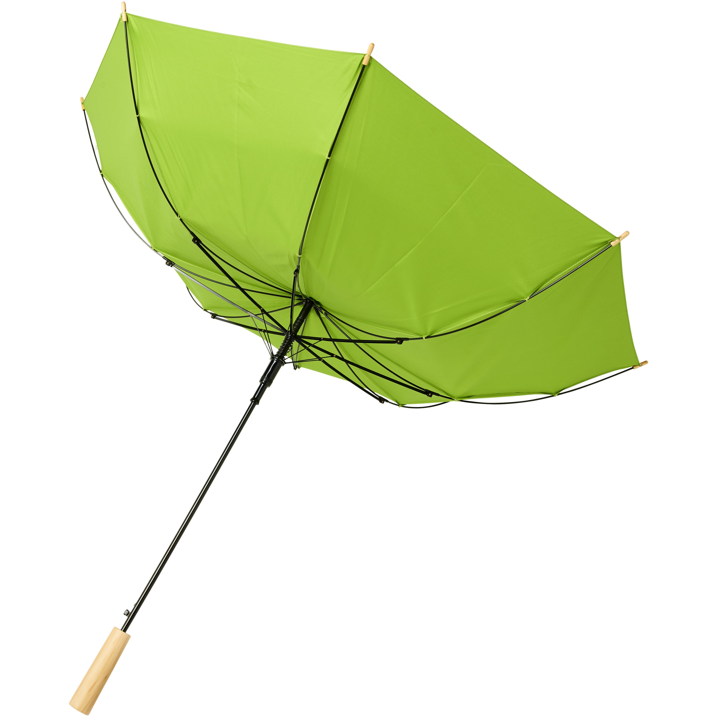 Alina Auto Open Recycled Polyester Umbrella