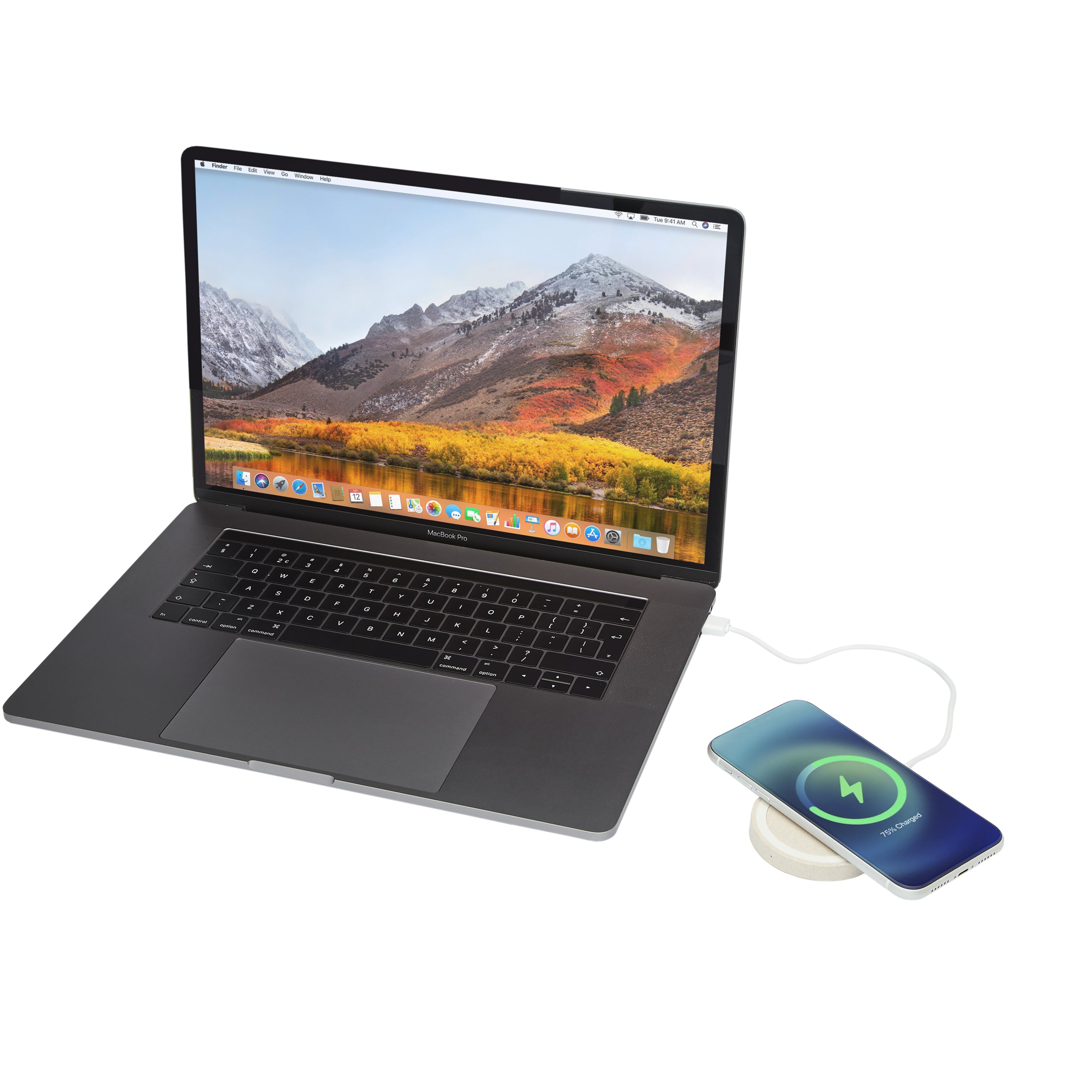 Naka Wheat Straw Wireless Charging Pad