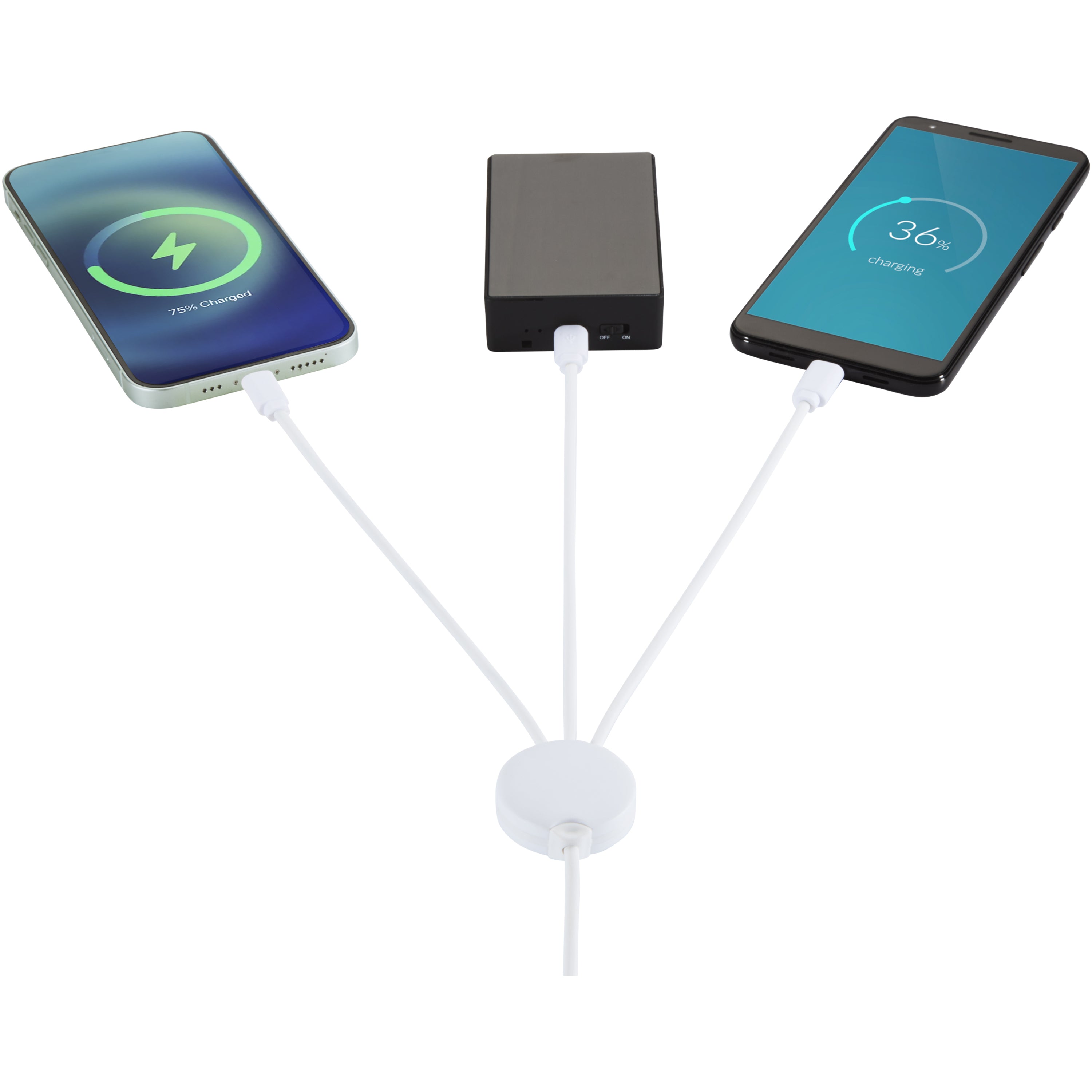 Pure 5-in-1 Antibacterial Charging Cable