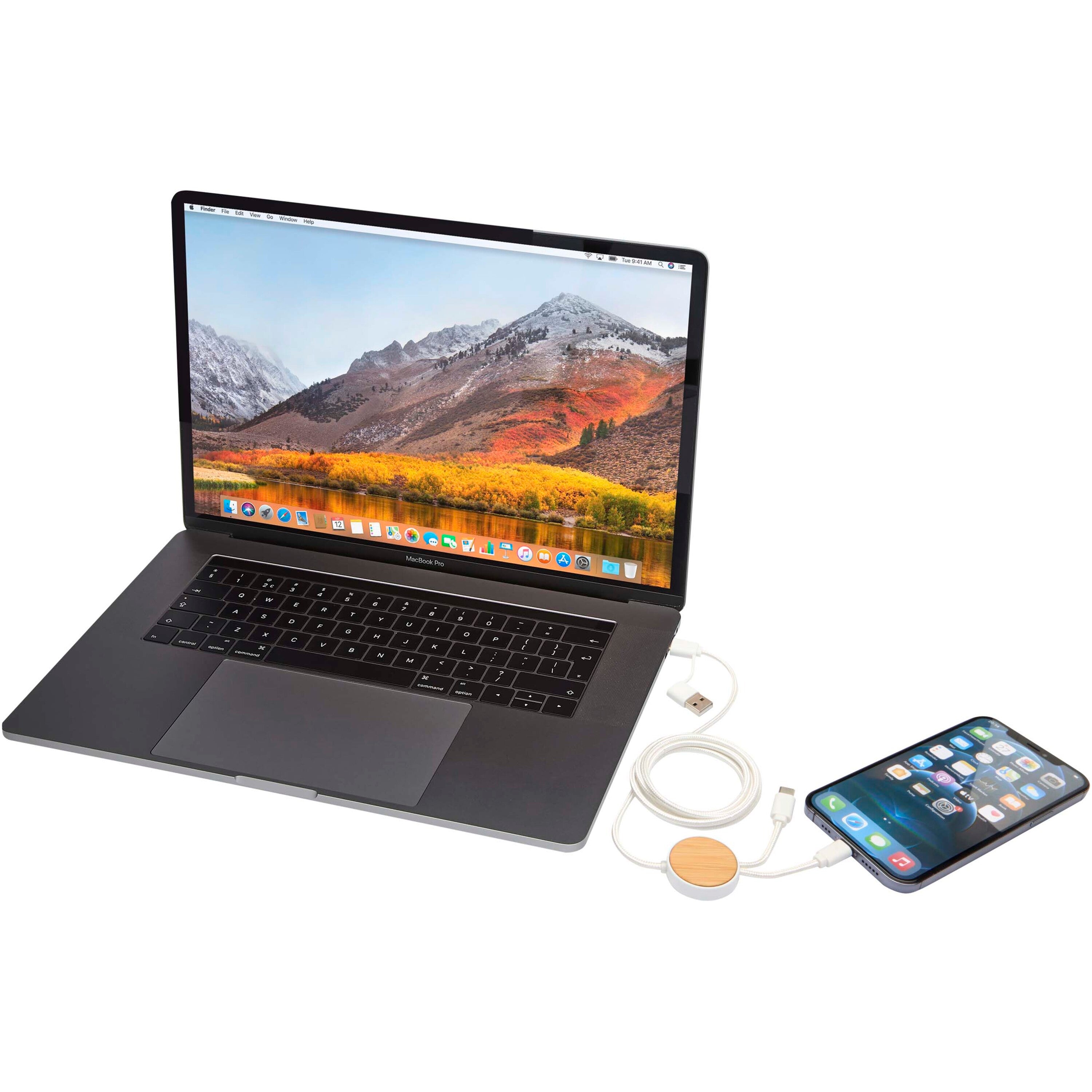 Bamboo and Recycled Data Sync and Fast Charge Cable