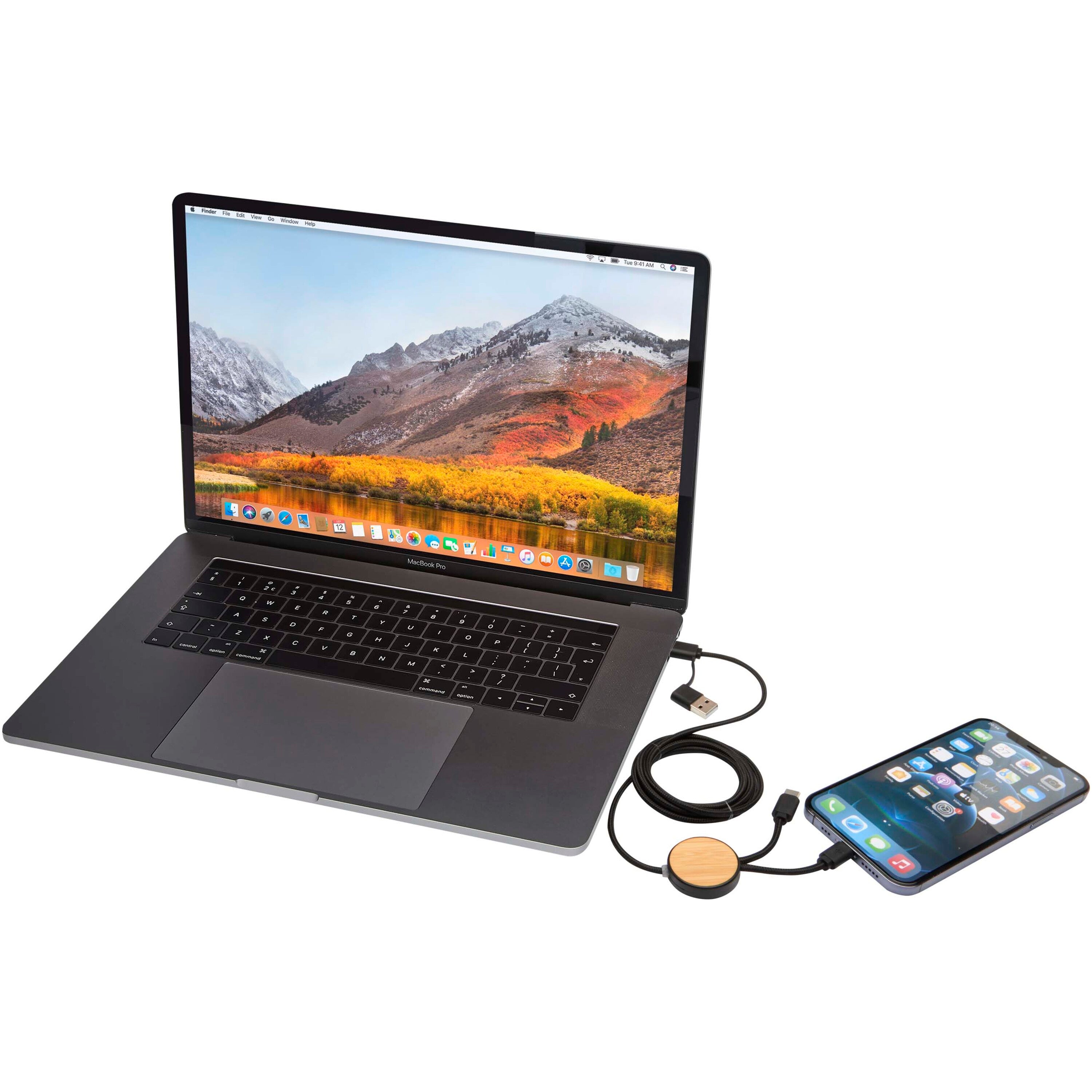 Bamboo and Recycled Data Sync and Fast Charge Cable