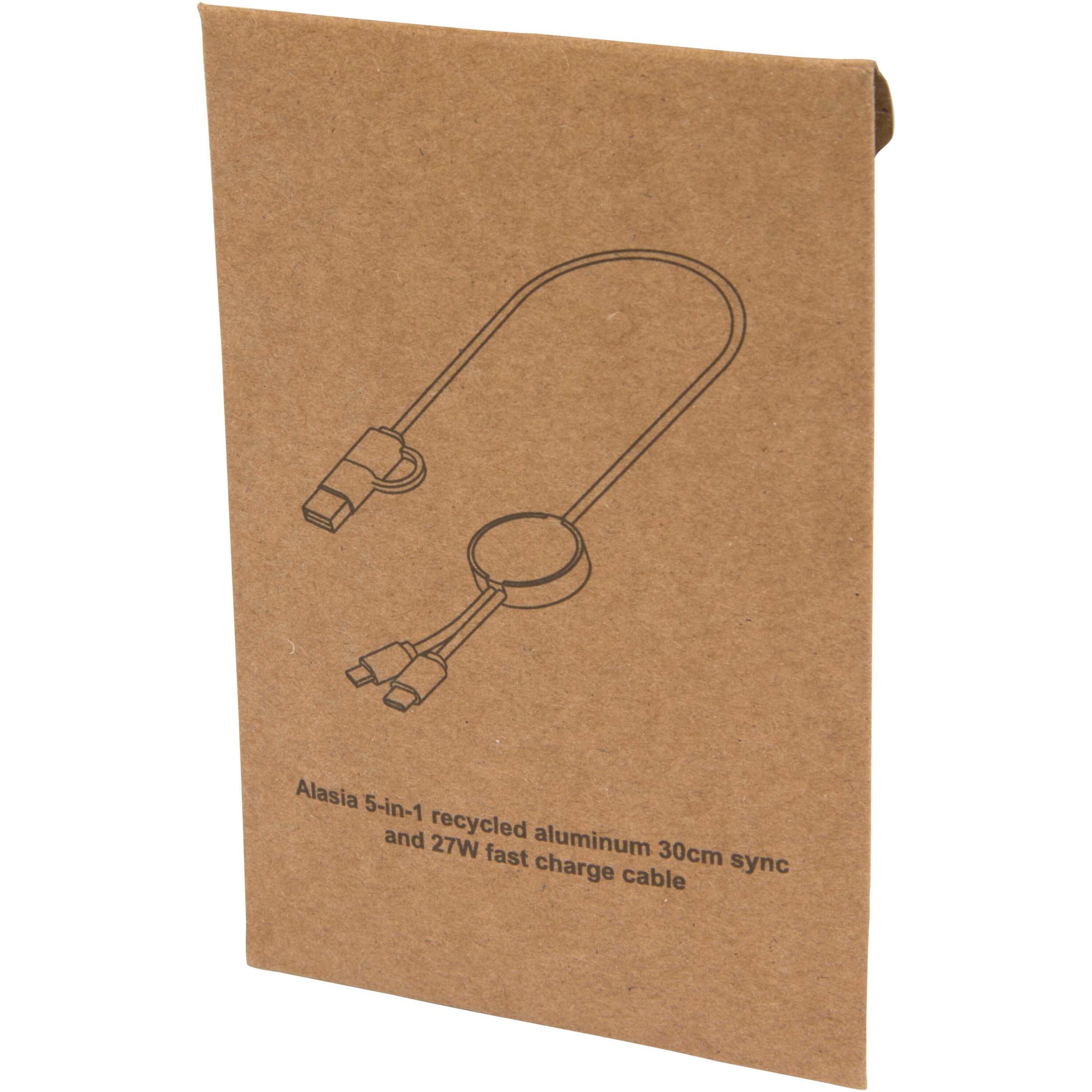 Alasia 5-in-1 30cm Data Sync and 27W Fast Charge Cable