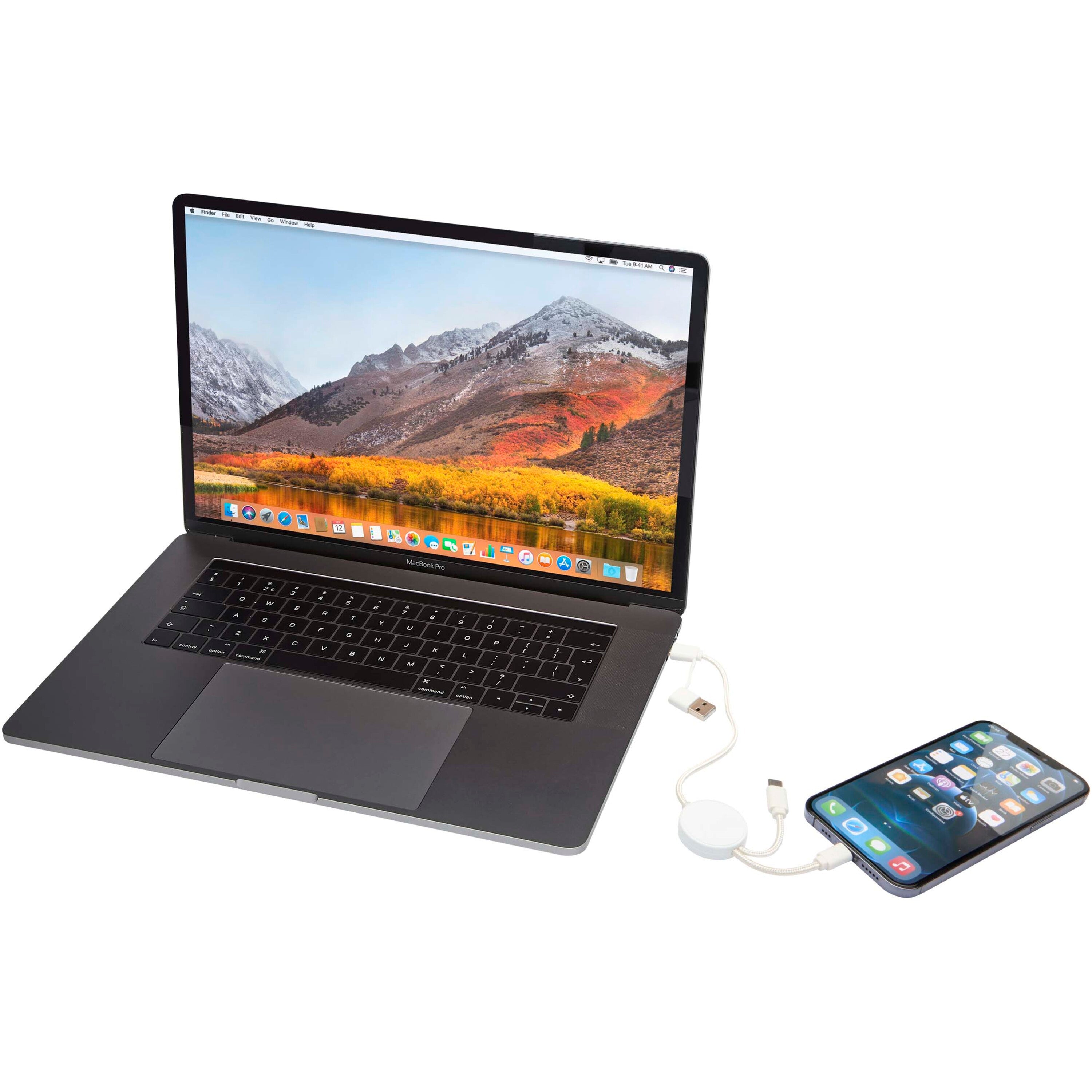 30cm Data Sync and 27W Fast Charge Cable