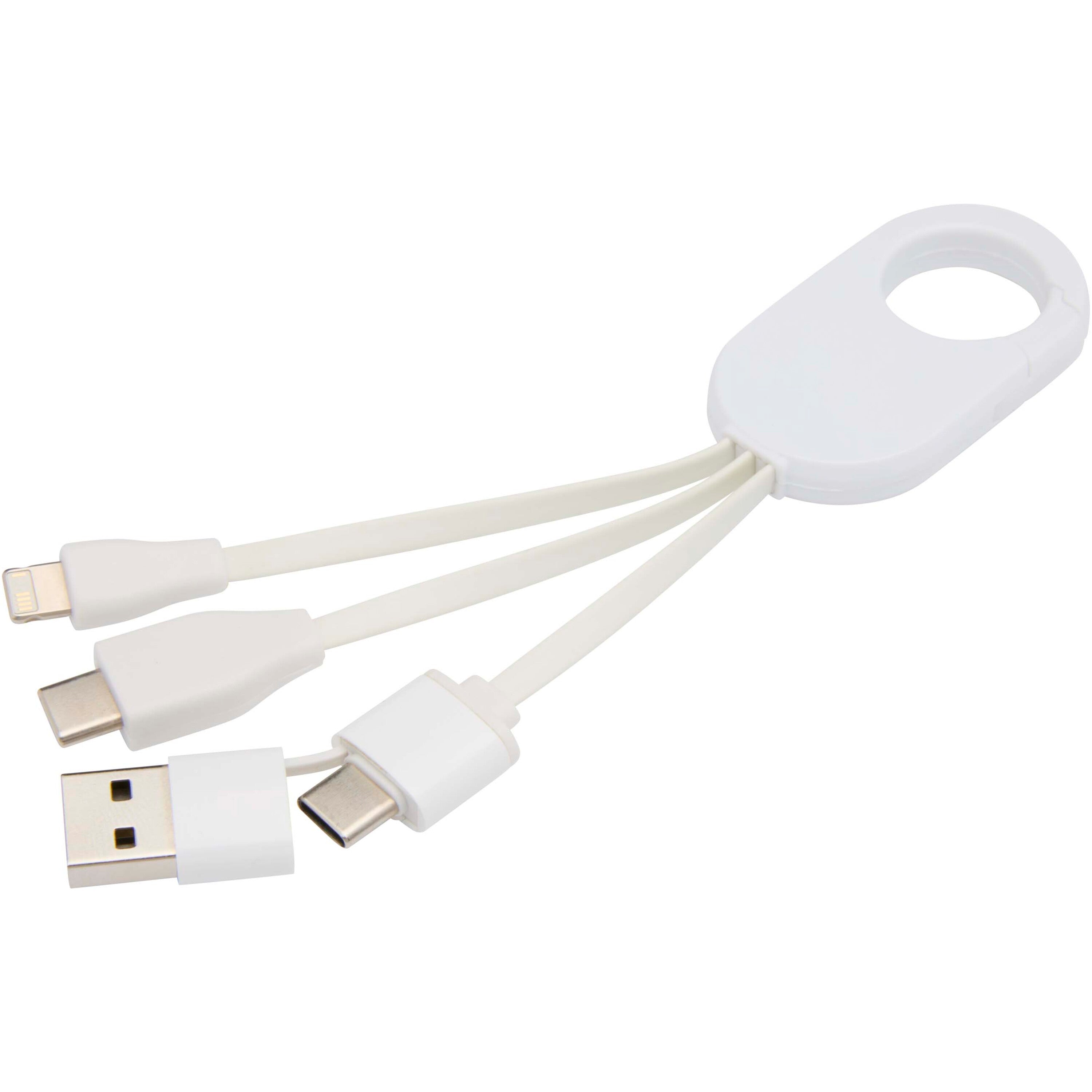 Troop 4-in-1 Recycled Plastic Charging Cable
