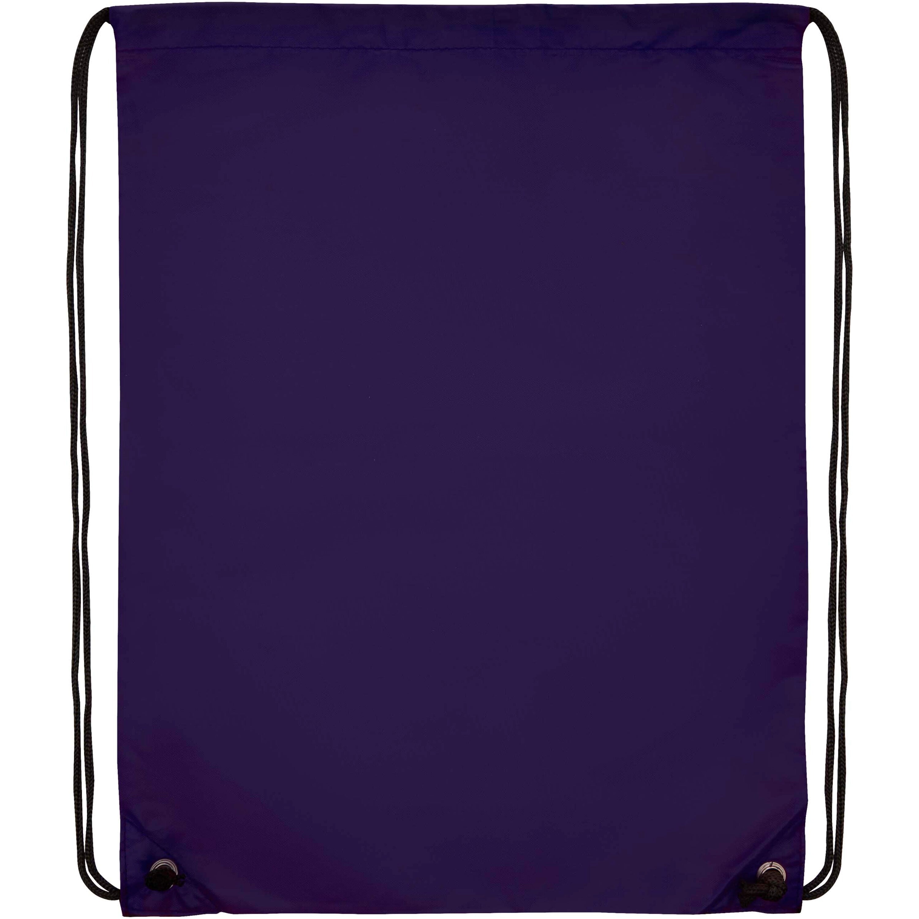Oriole Premium Drawstring Bag