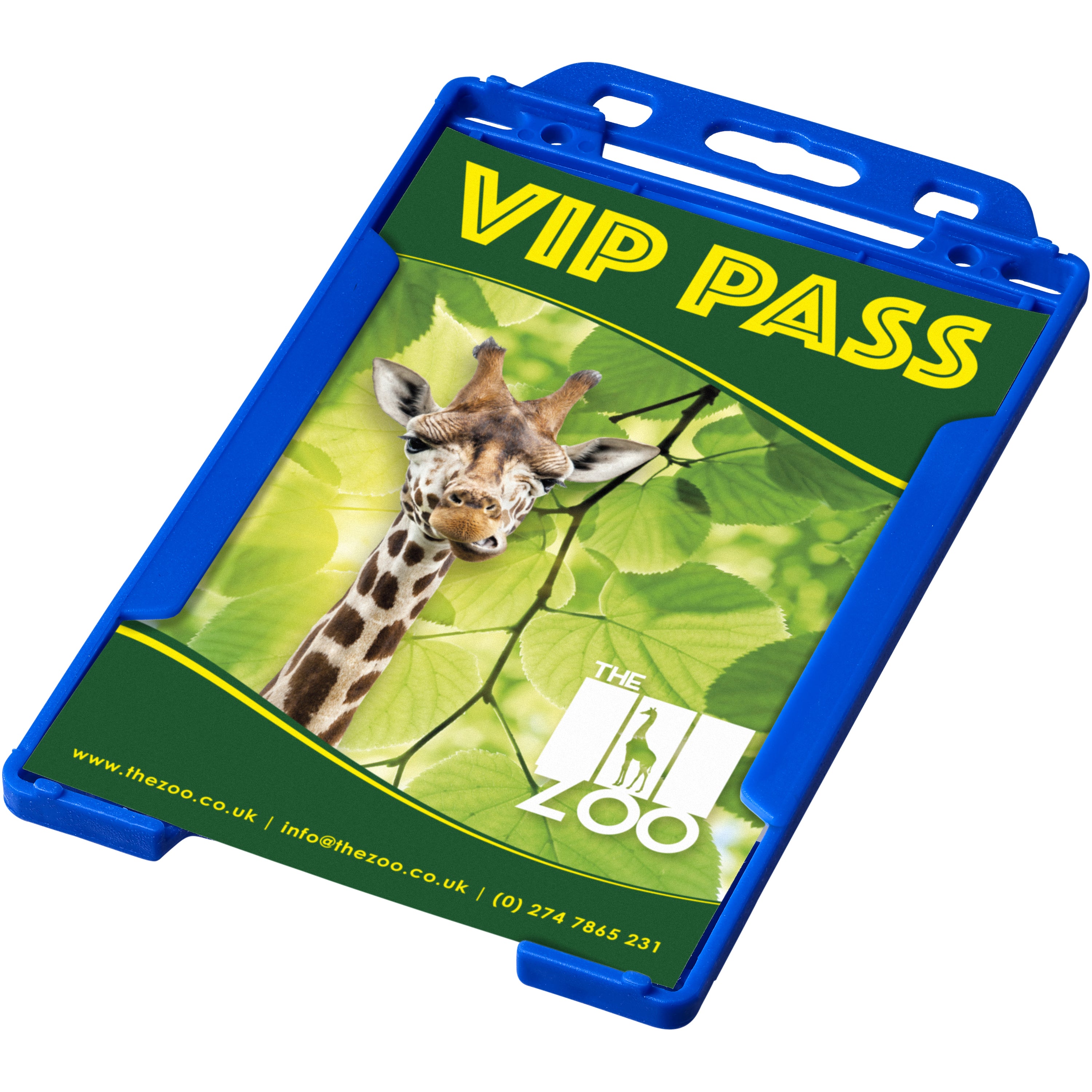 Pierre Recycled Plastic Pass Holder