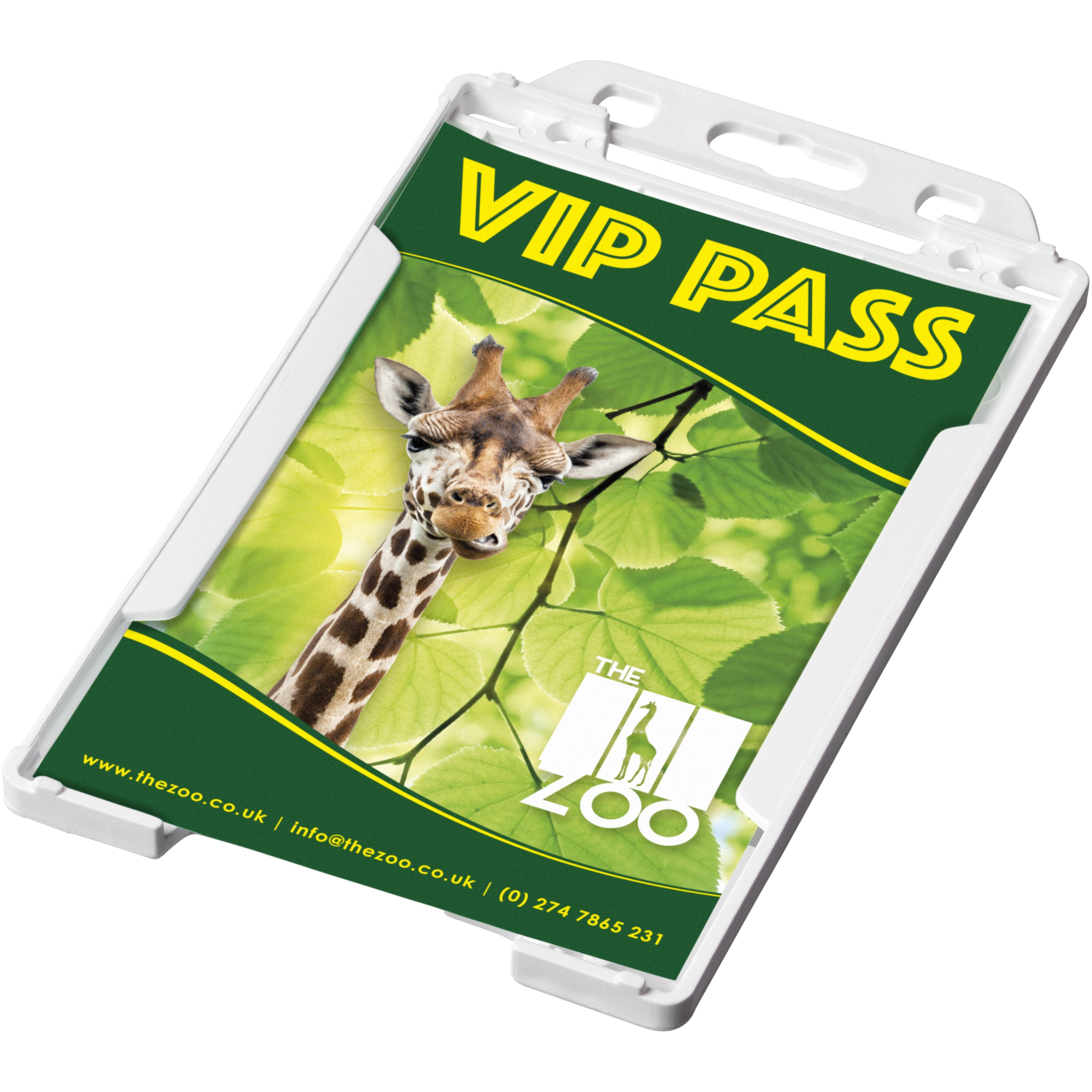 Pierre Recycled Plastic Pass Holder