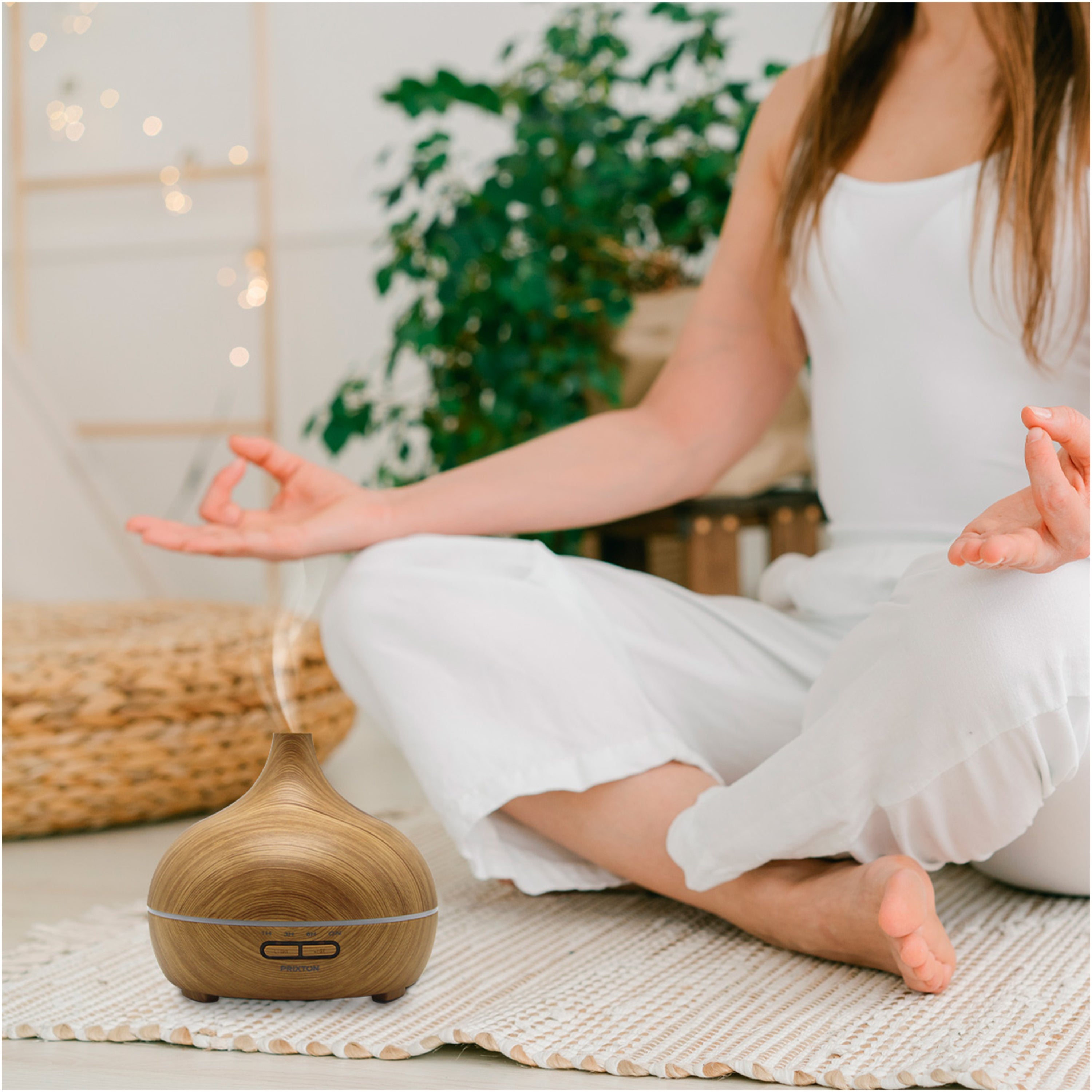 Humidifier and LED Night Light