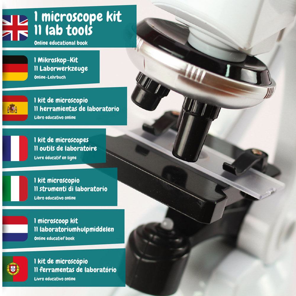 Microscope. Educational Game For Children