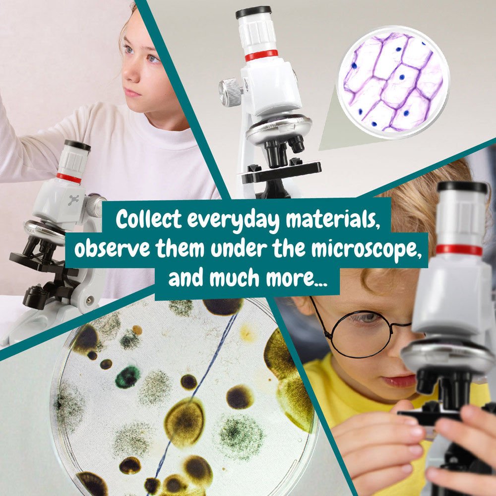 Microscope. Educational Game For Children