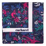 Scarf Alma White
