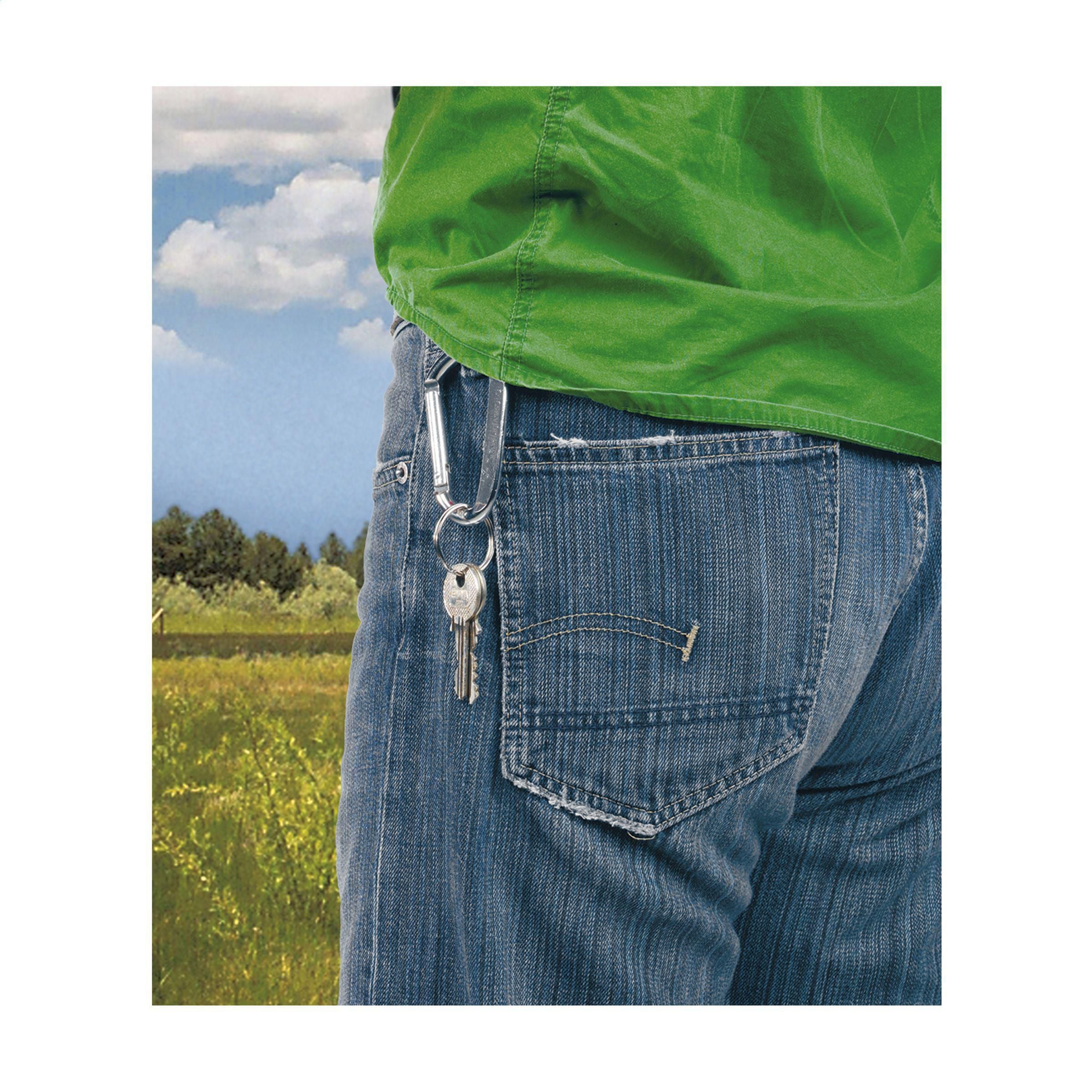 Carabinekey Carabiner Hook