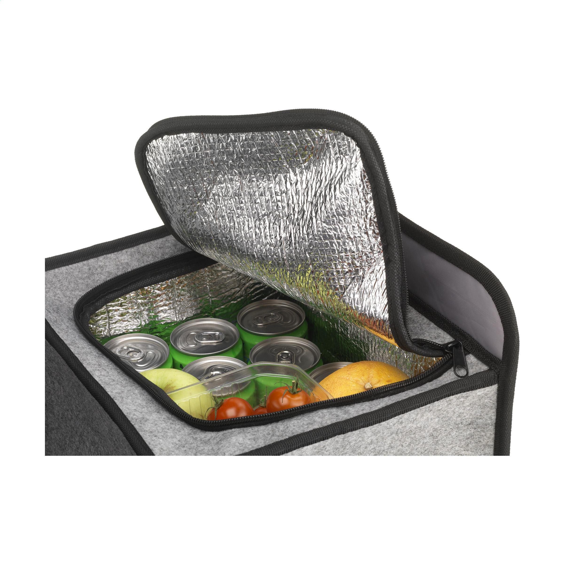 Trunk Grs Rpet Felt Organiser Cooler Bag