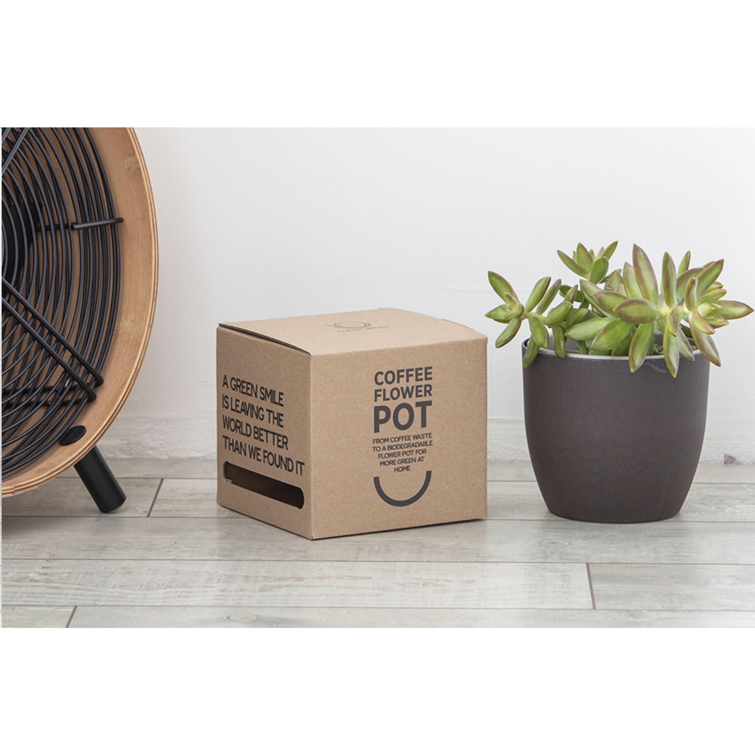 Coffee Flowerpot